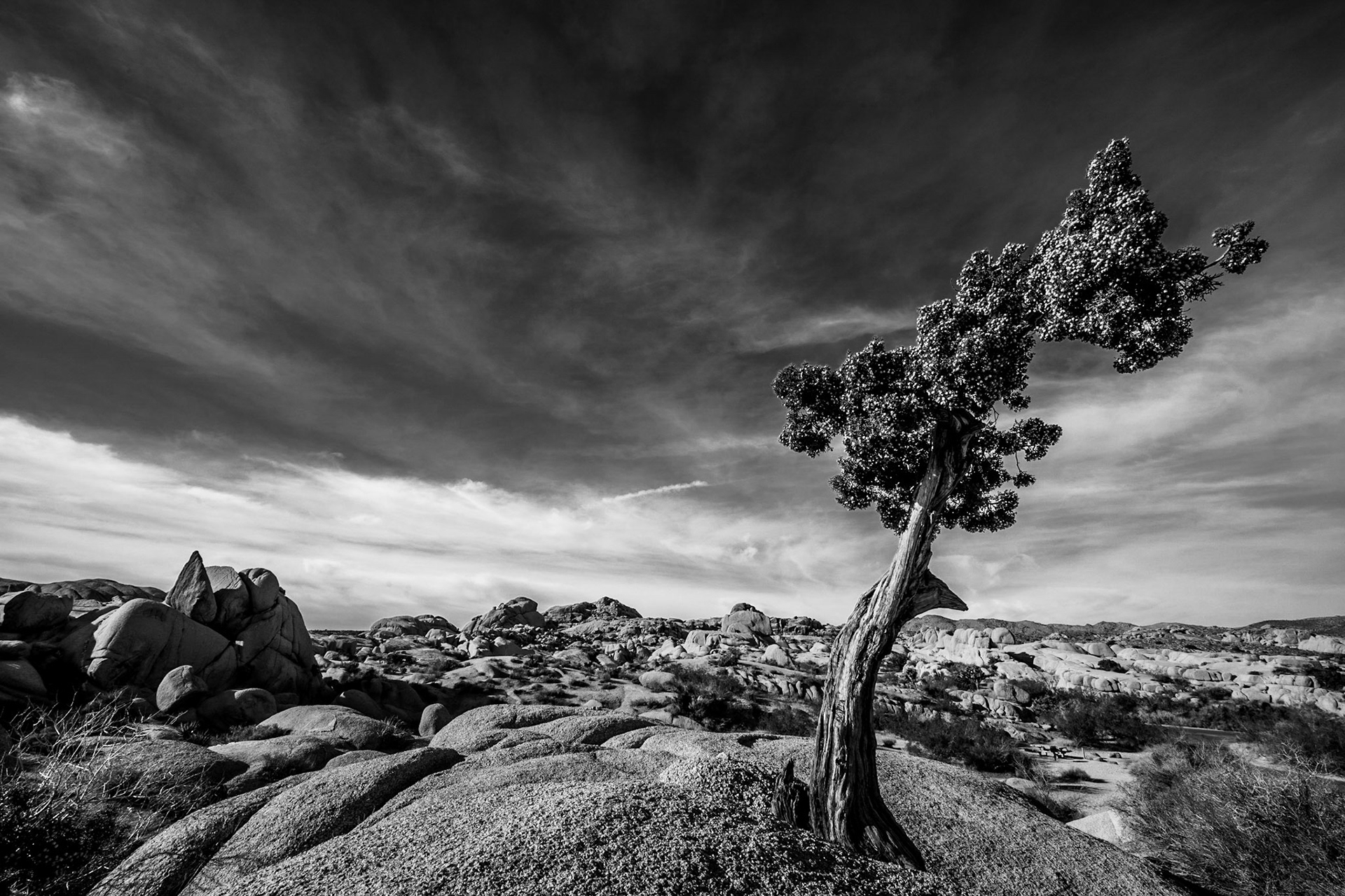 Joshua Tree NP, CA