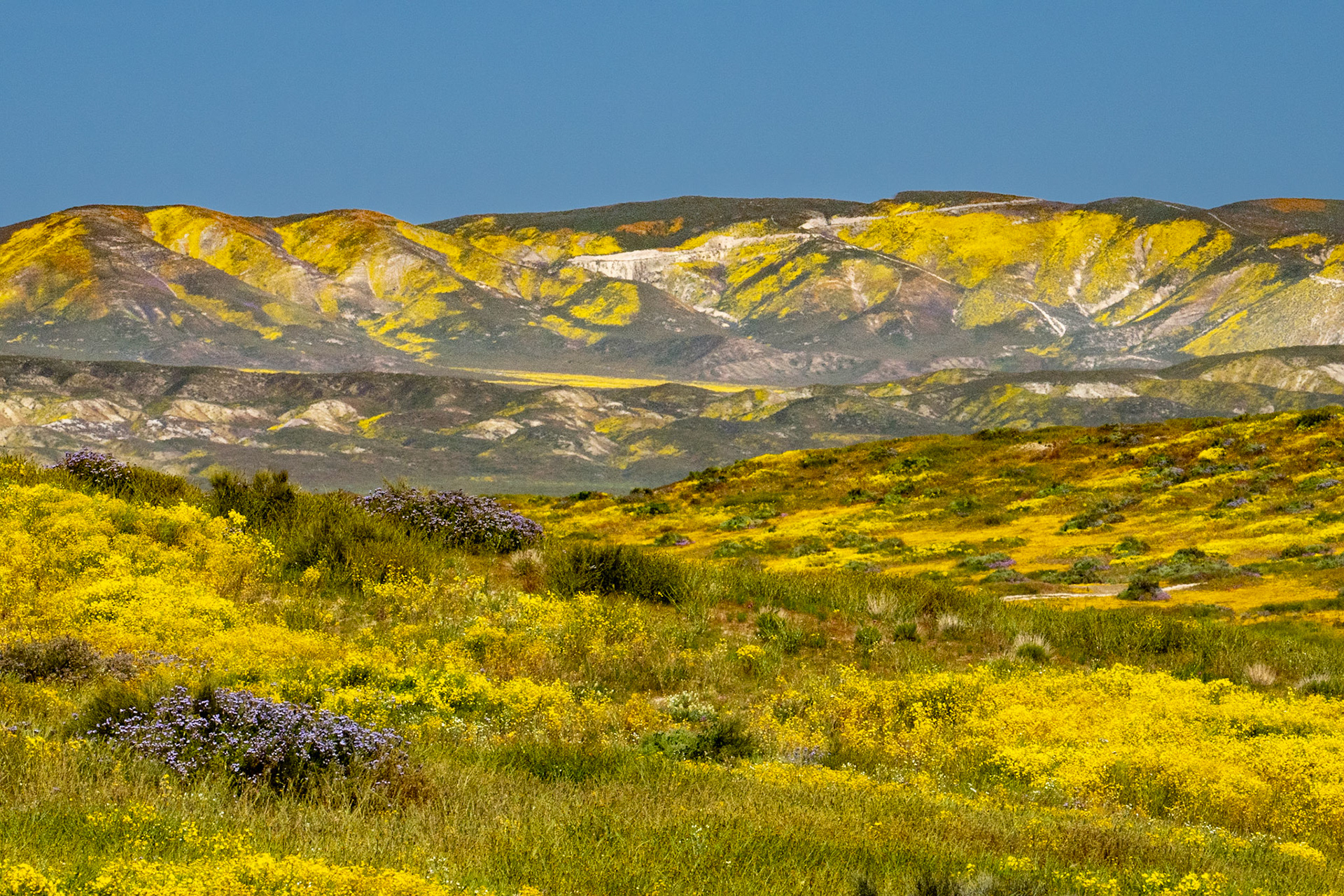 Carrizo Plain, CA