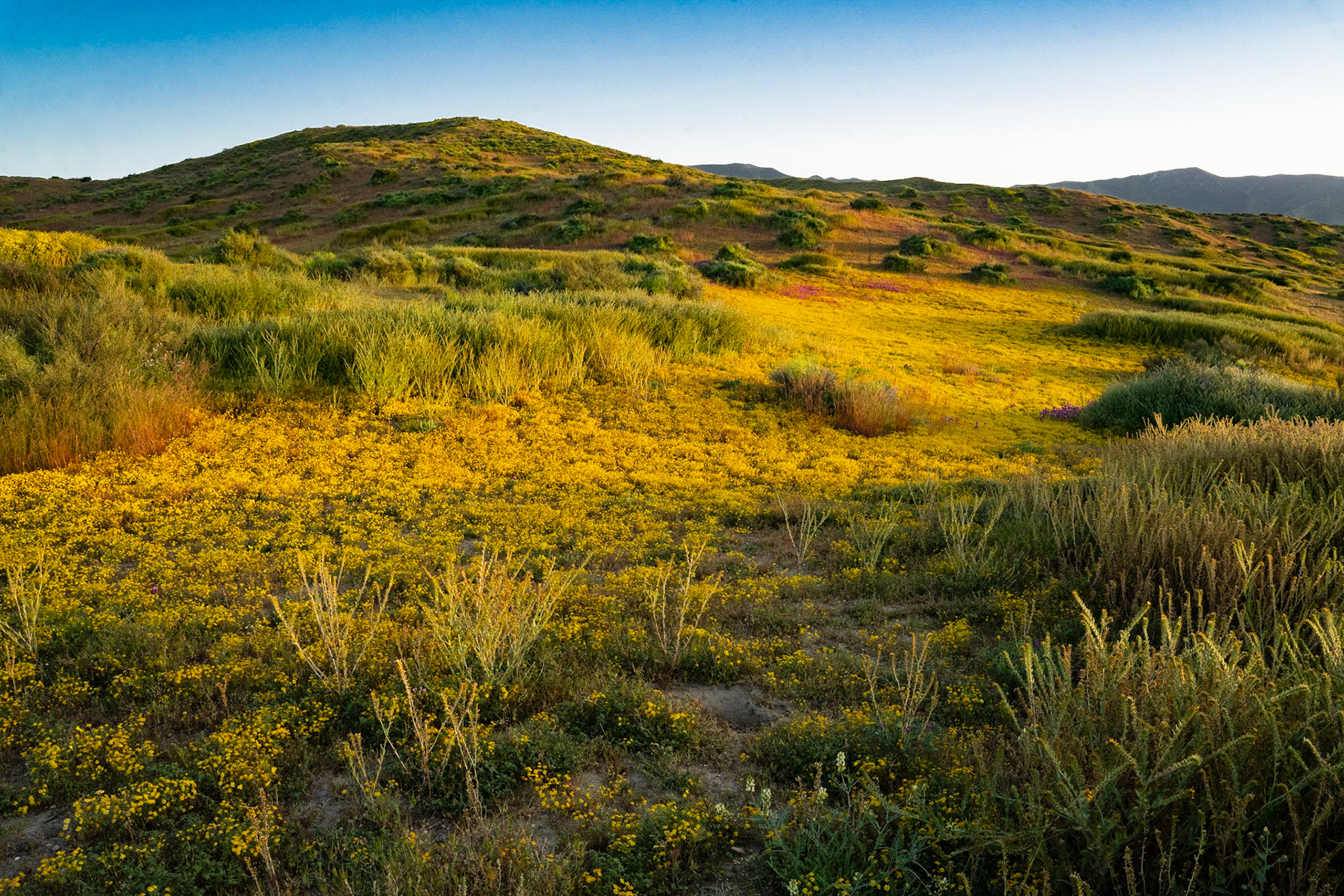 Carrizo Plain, CA