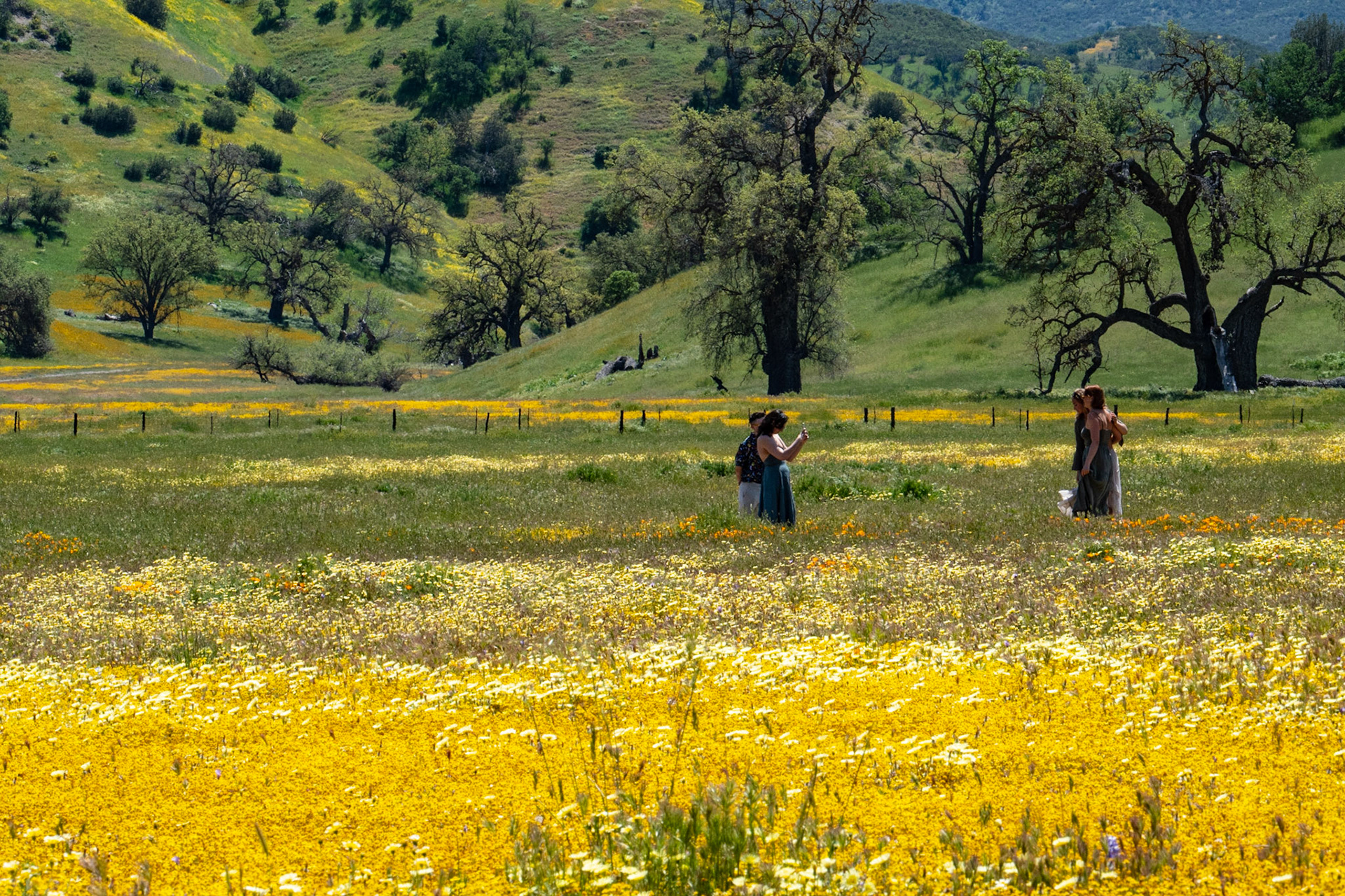 Carrizo Plain, CA