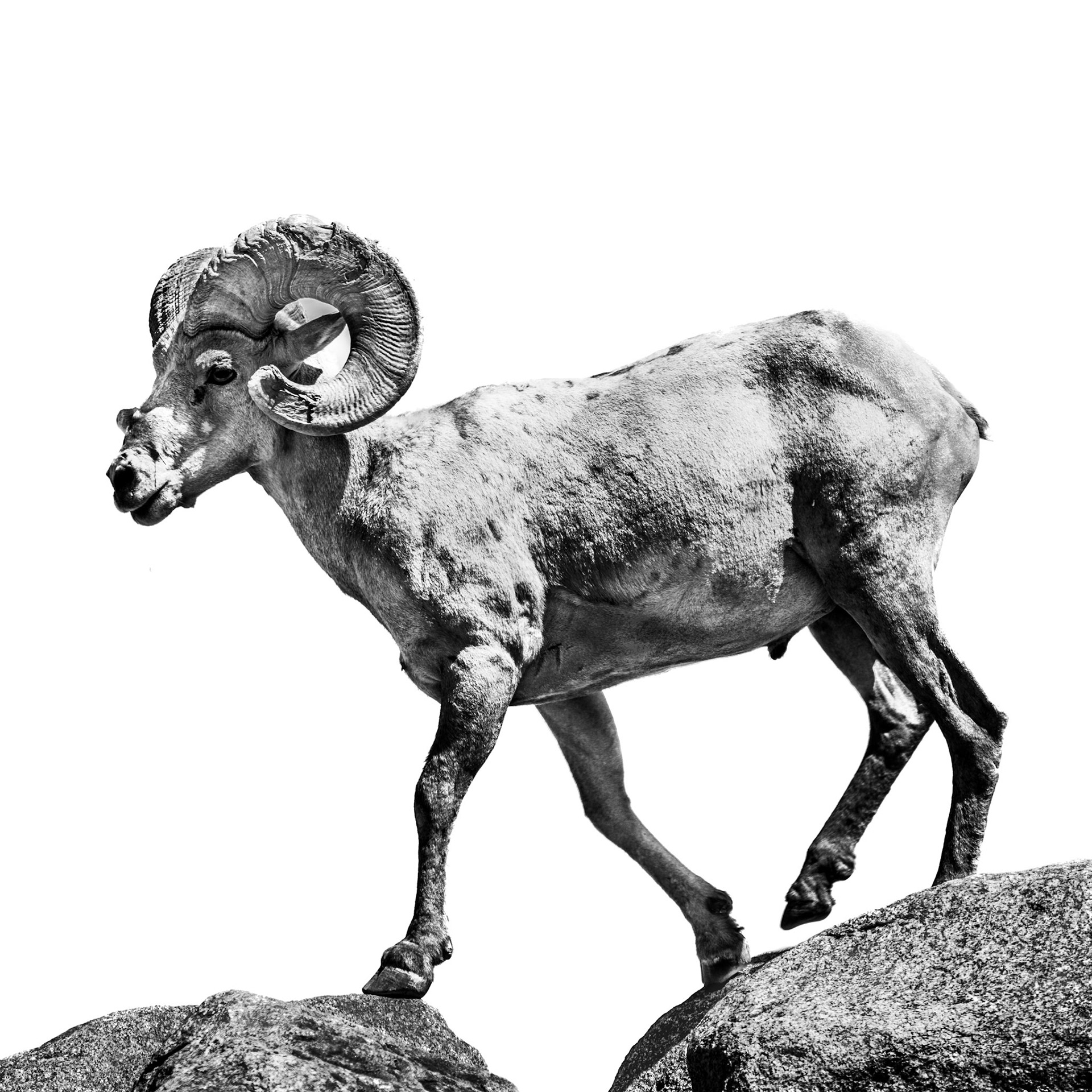 Anza Borrego SP, CA