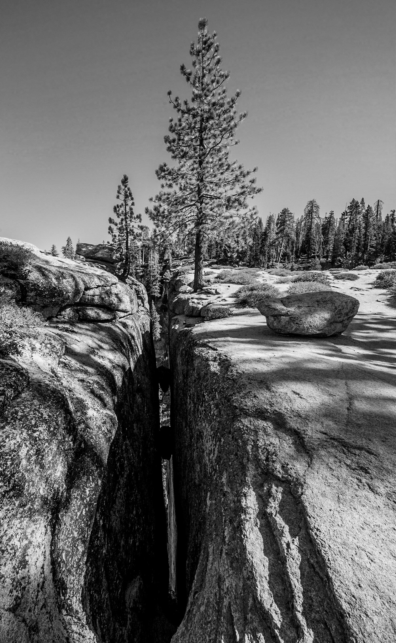 Yosemite NP