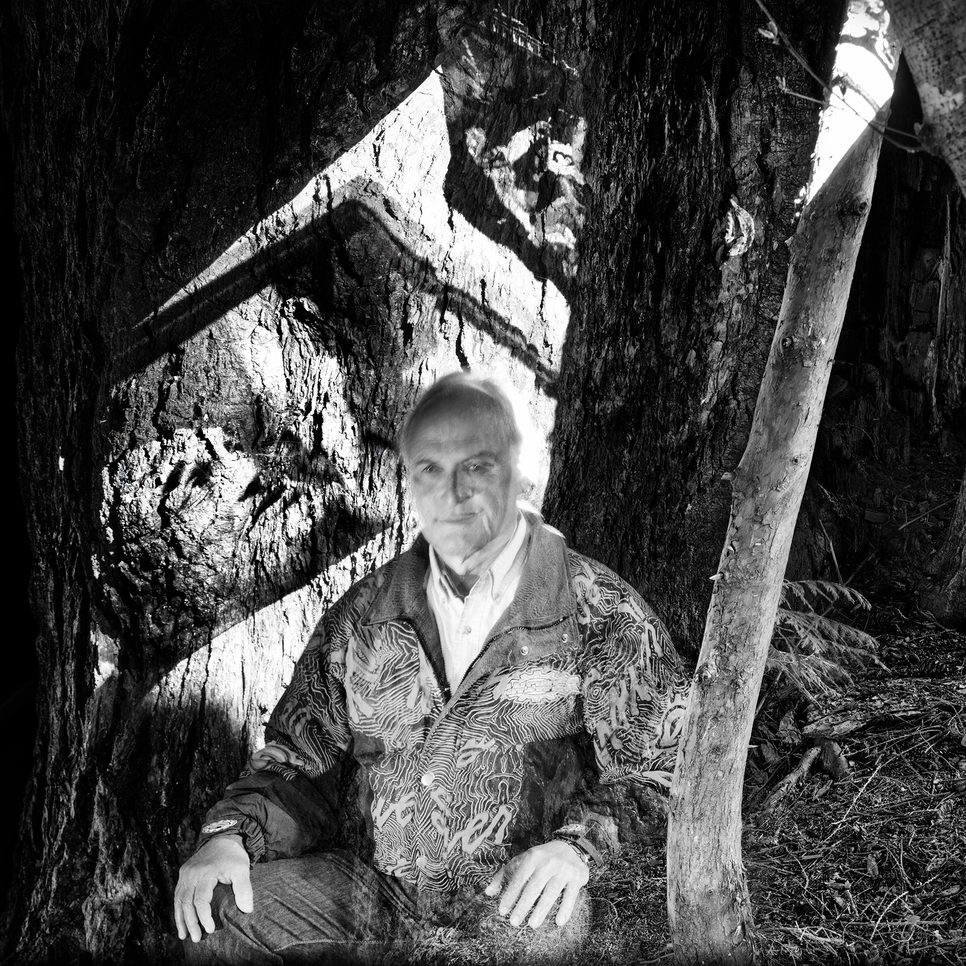 Ken in the Trees