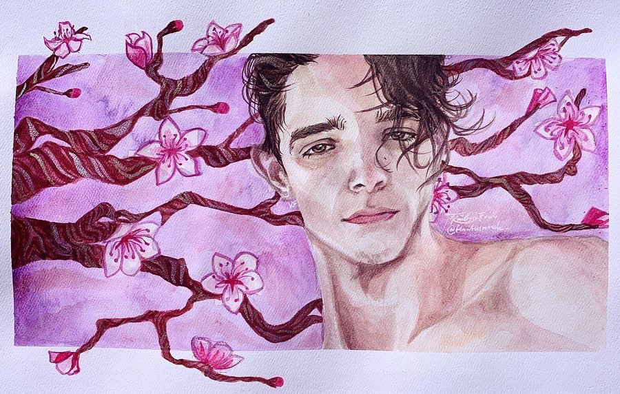 Nolan - Cherry Blossoms