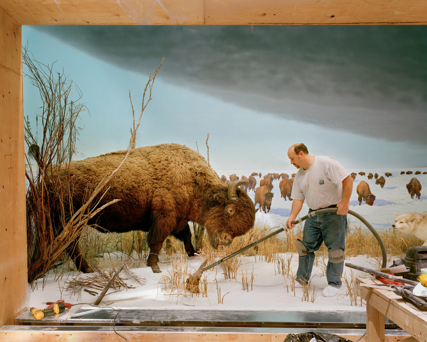 Richard Barnes Man With Buffalo, 2007