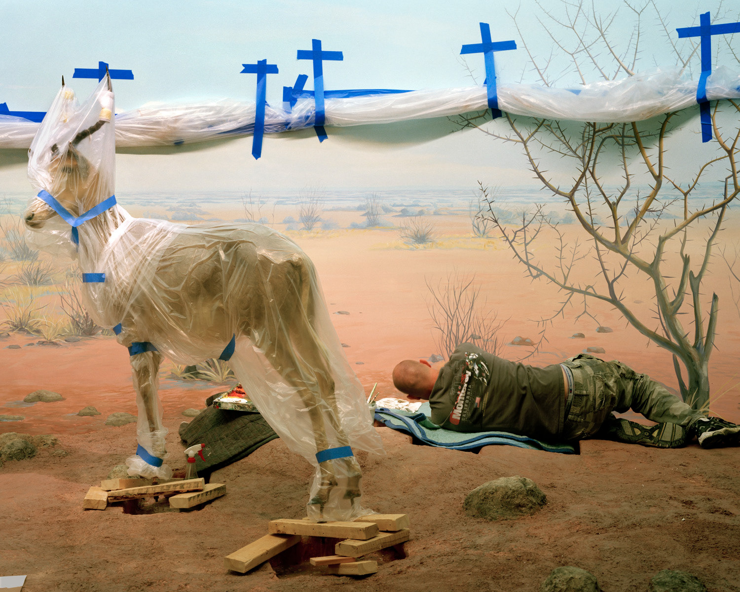 Richard Barnes, Single Ungulate and Man Amidst Crosses, 2008