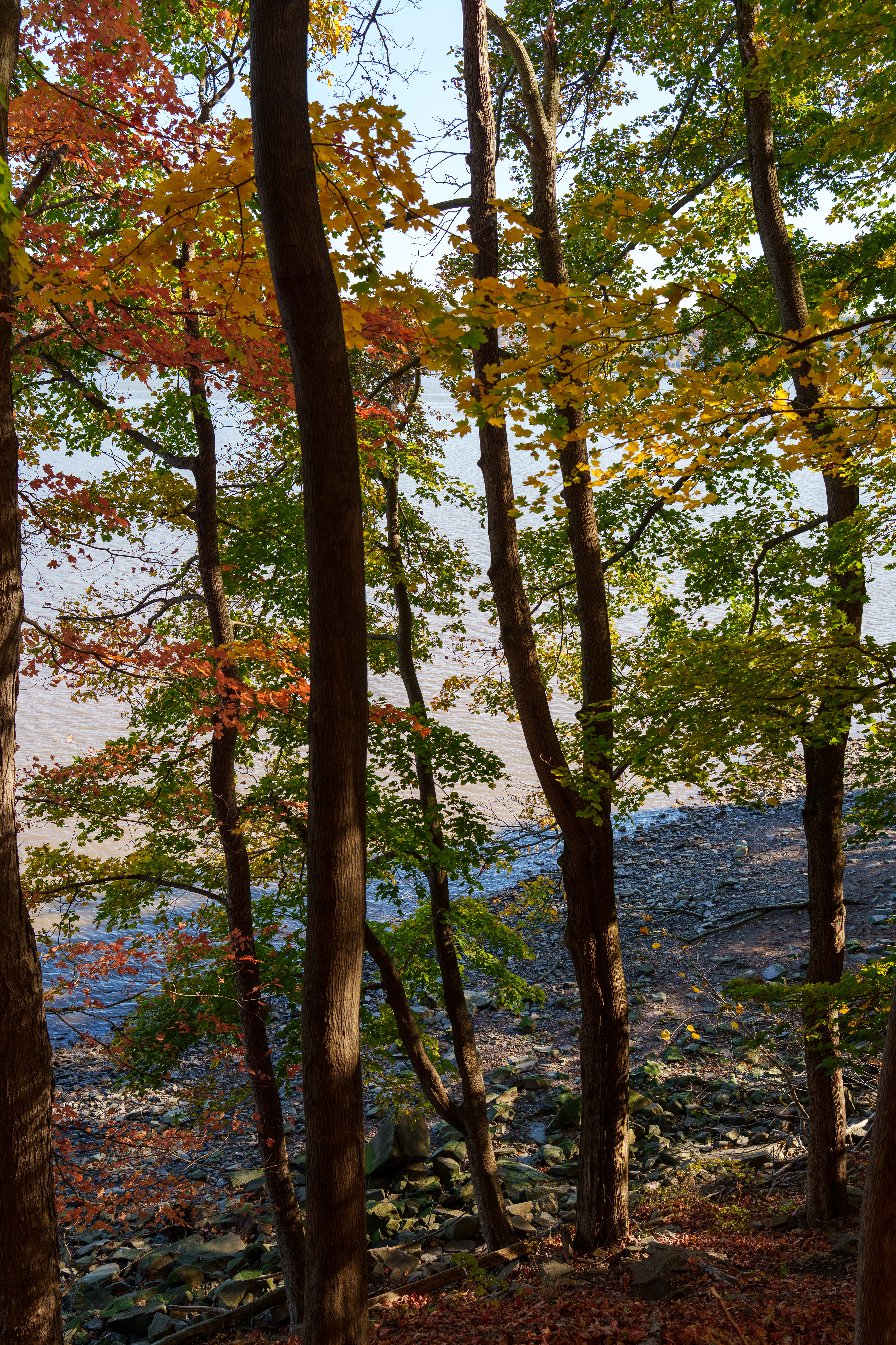 Giant Stairs Palisades Hike— Alpine, New Jersey, 2025