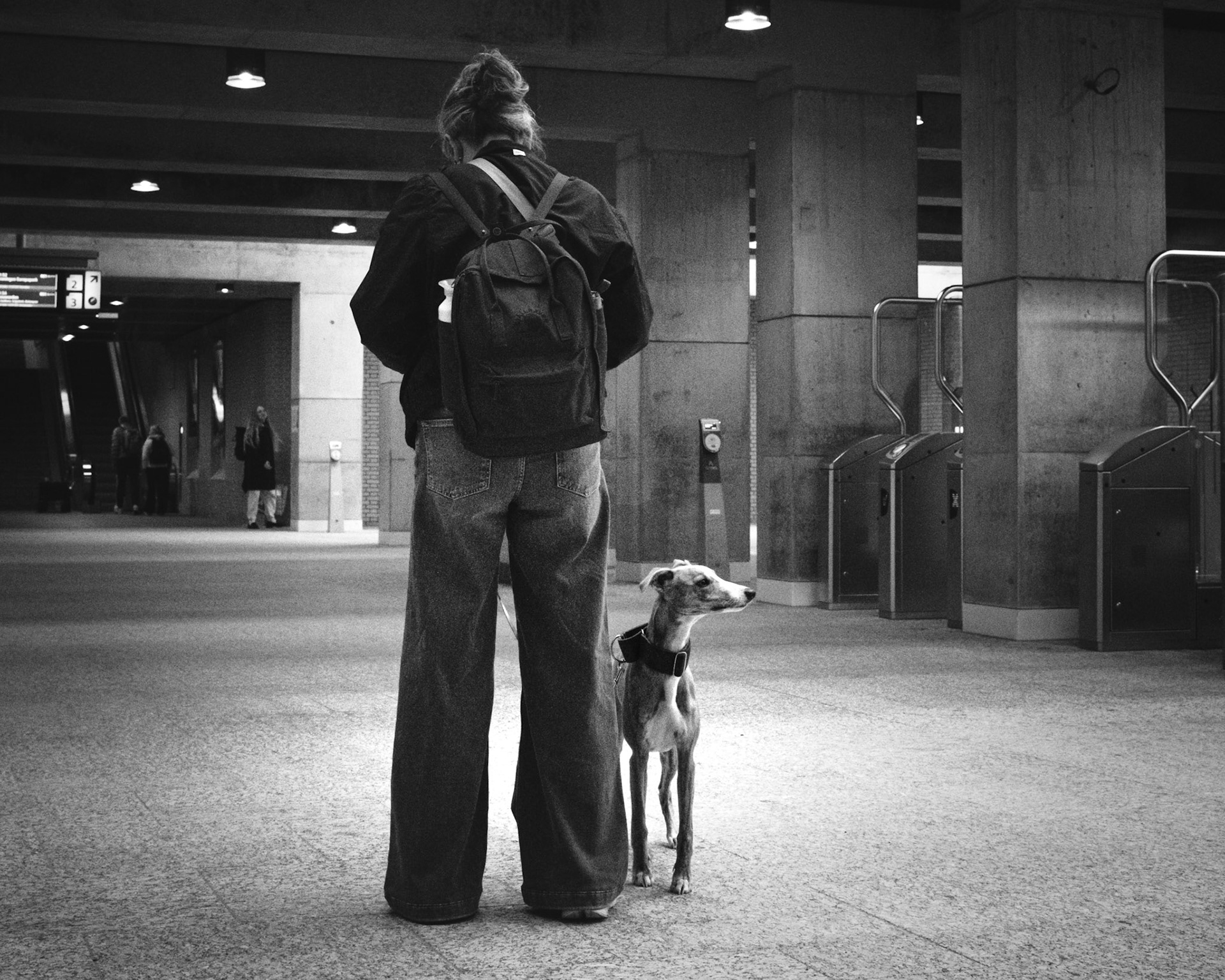 Zwart-wit metroscène: mens en hond in architectonisch licht.