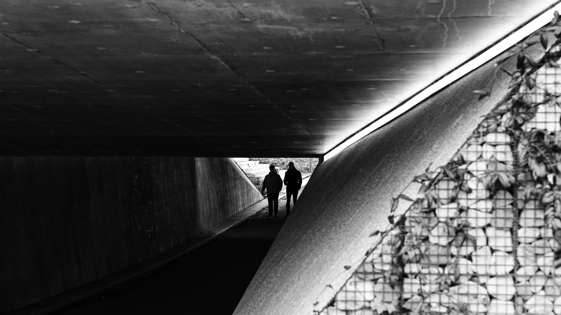 Samen stappen ze door het groen, neon wijst de weg na de lunch.
