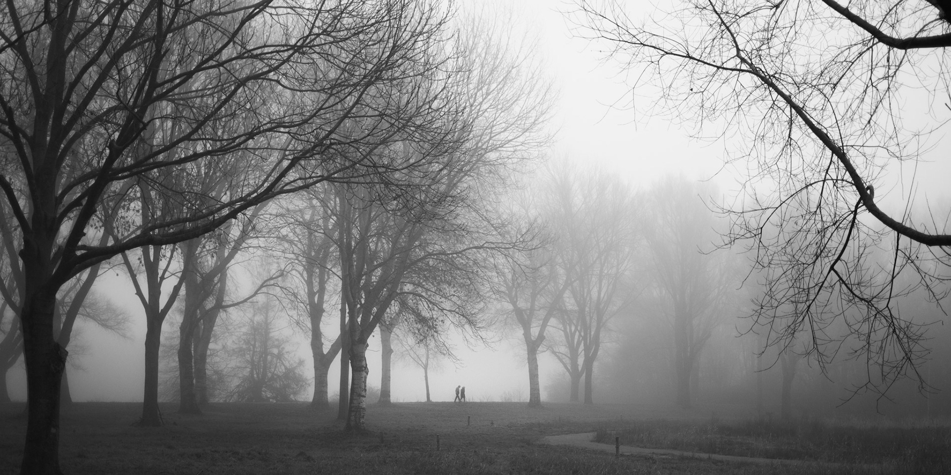 Twee figuren als spiegelbeelden in nevel, bomen als wachters.