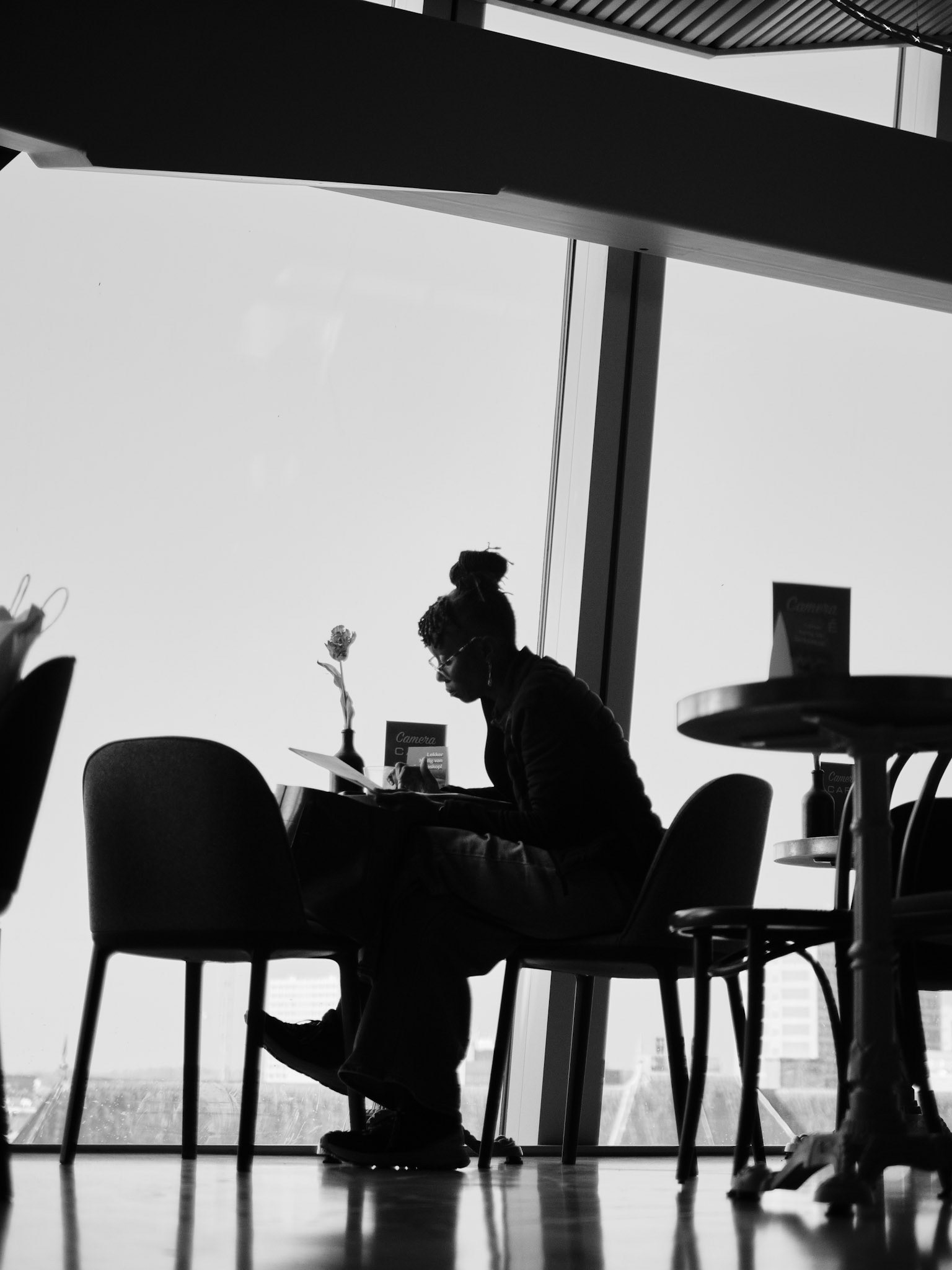 Roos fluistert bij peinzend silhouet hoog uitzicht.