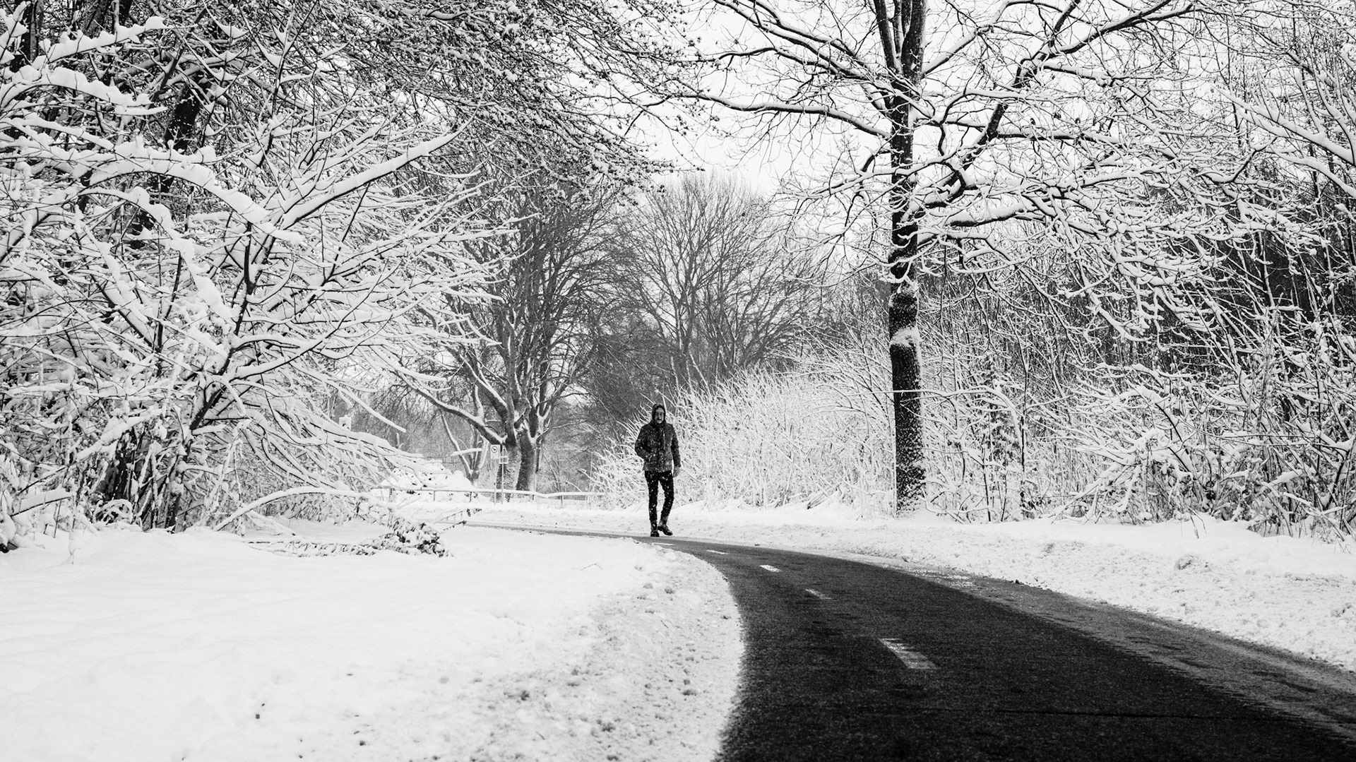 Een wandelaar doorkruist de besneeuwde laan, geflankeerd door kale bomen als ijzige wachters, zwart asfalt snijdt door wit.