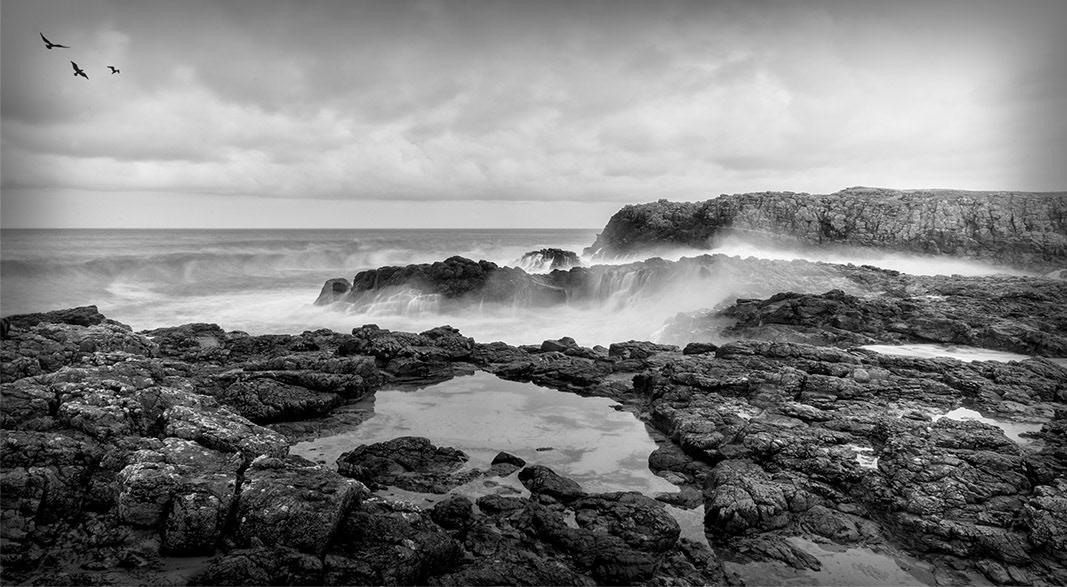 northern ireland photographic association