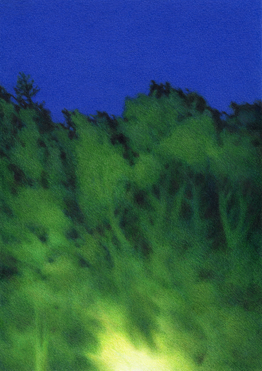 Night Light, 2016, colored pencil on paper, 25.7 × 18.2 cm