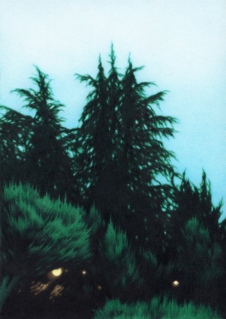 in the Evening, 2017, colored pencil on paper, 25.7 × 18.2 cm