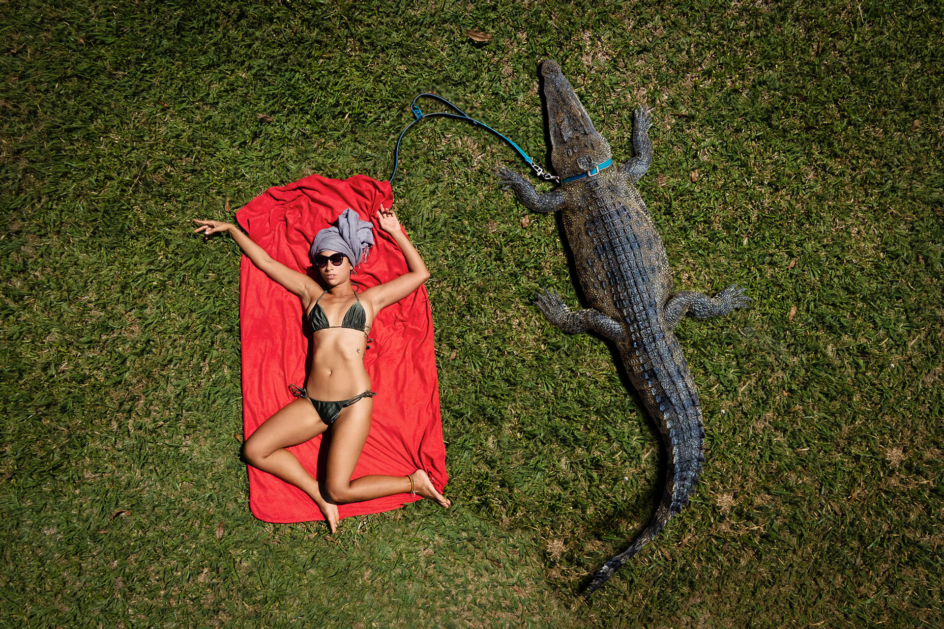 2025 - Sunbath with my pet