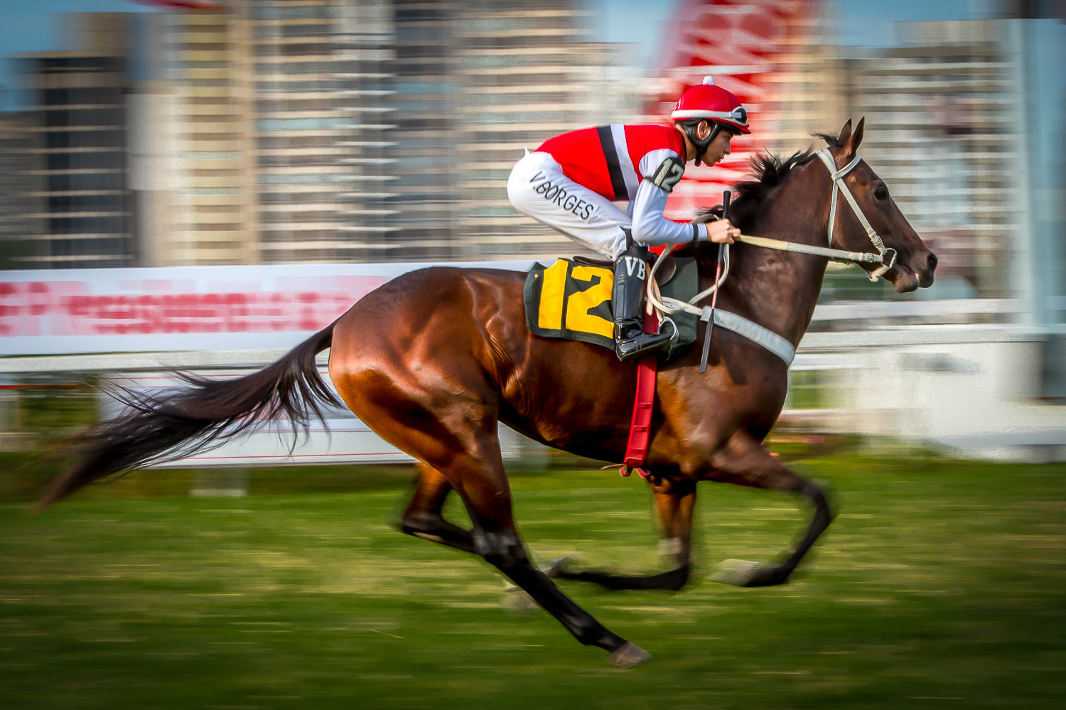 Aceita no WSP Hungary 2025