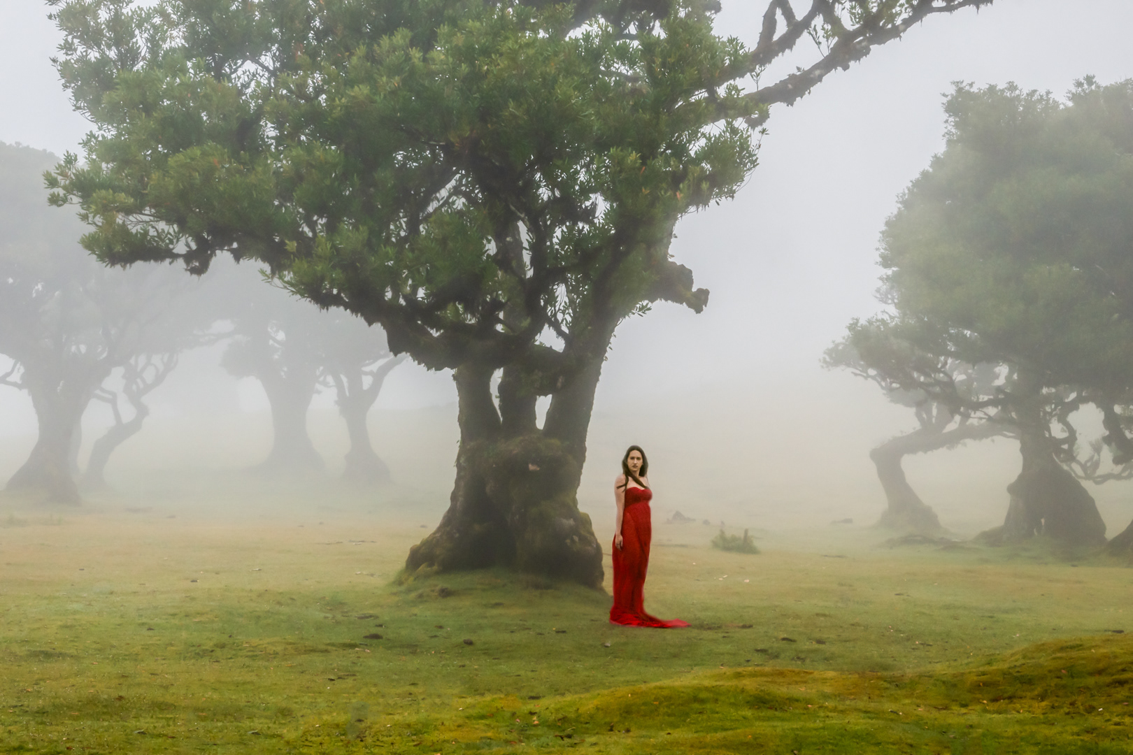   Aceita no 18th Salon Daguerre, 2025 edition.