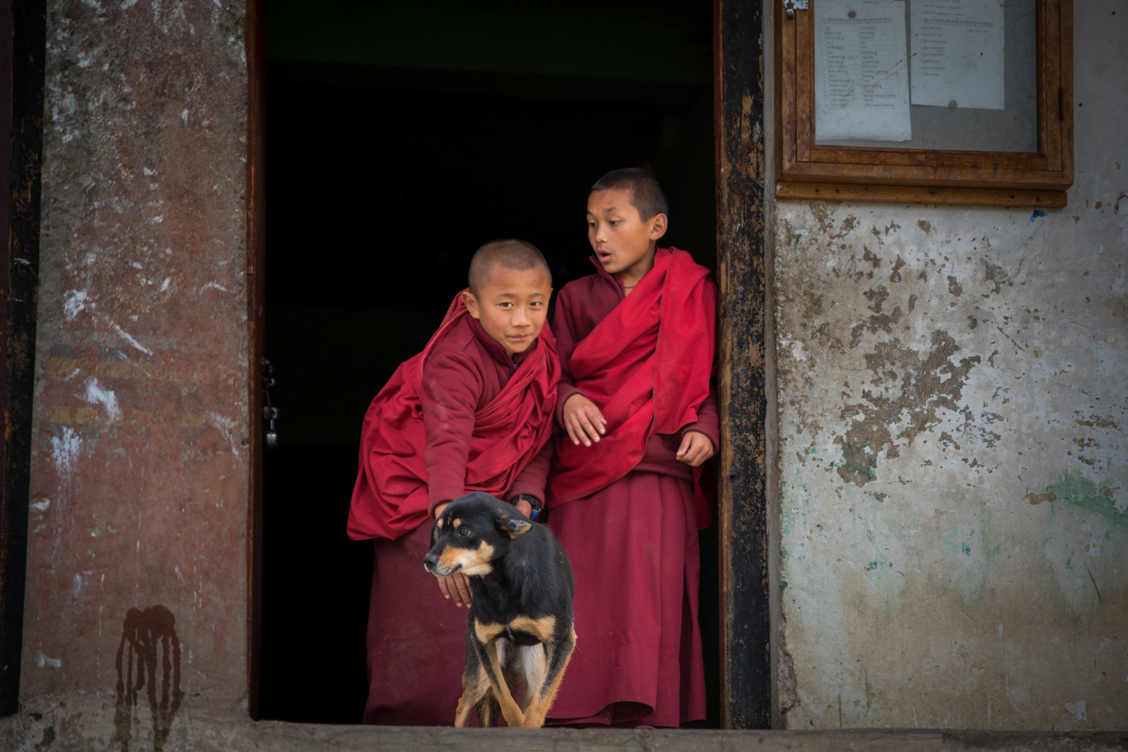 Aceita no WSP Hungary 2025