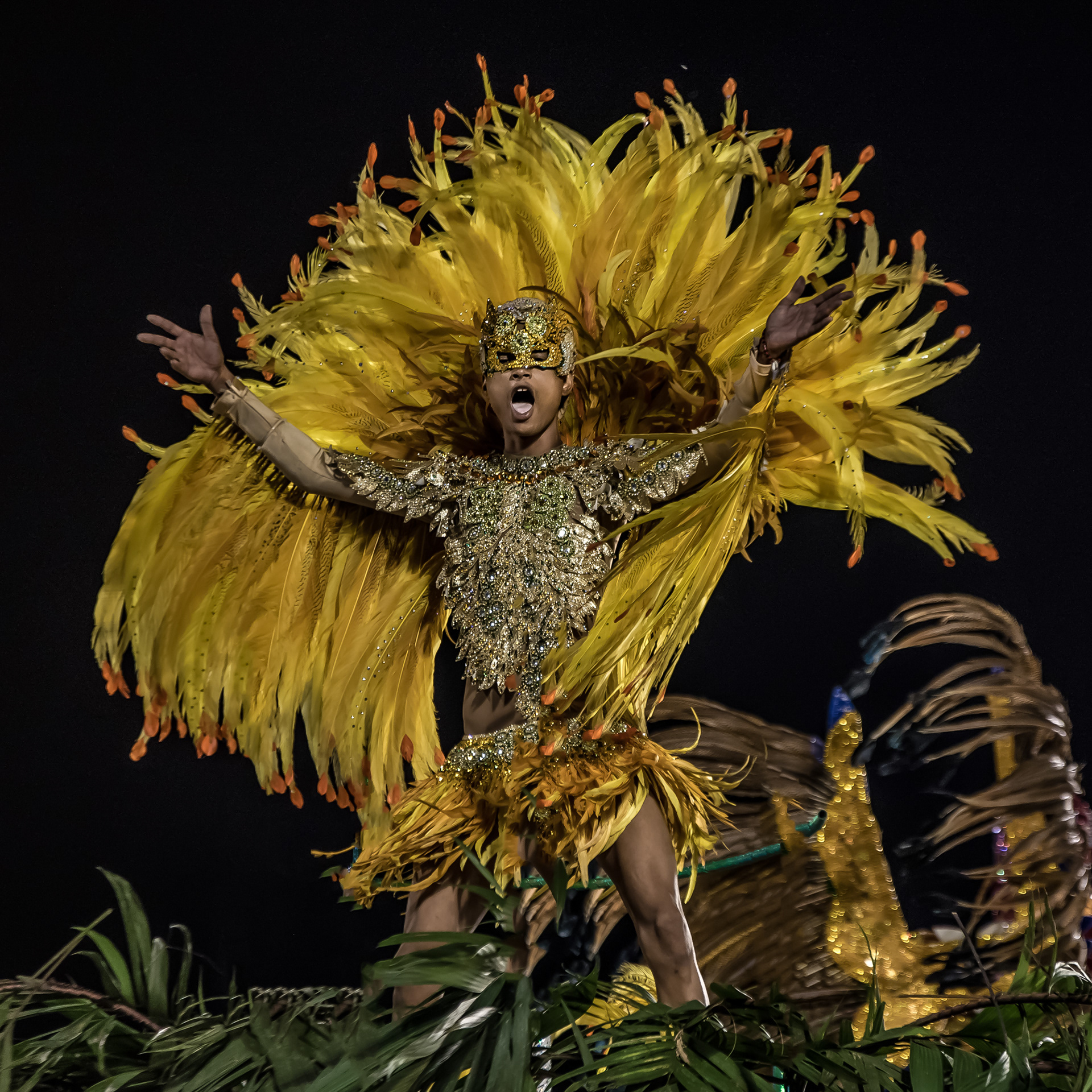 Aceita no OUT OF CONCEPT ╡2025