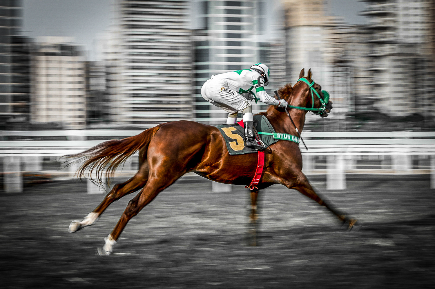 Menção Honrosa no WSP Hungary 2025   Aceita no 18th Salon Daguerre, 2025 edition.