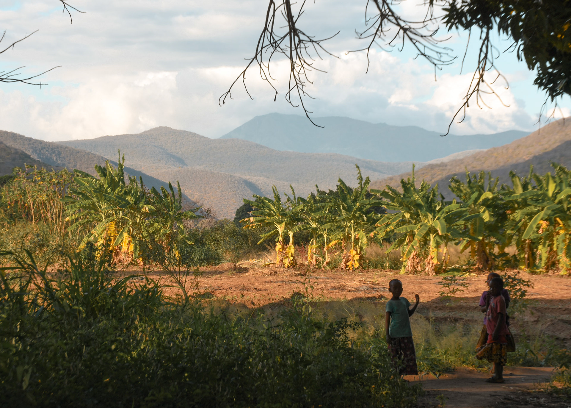 When we got to our campsite, we were amazed by this magnificent view right behind our tents. There were fields of crops and plantations that provide food for the local people and even other parts of Tanzania. The local children found us to be amusing, and followed us as we explored the plantations.