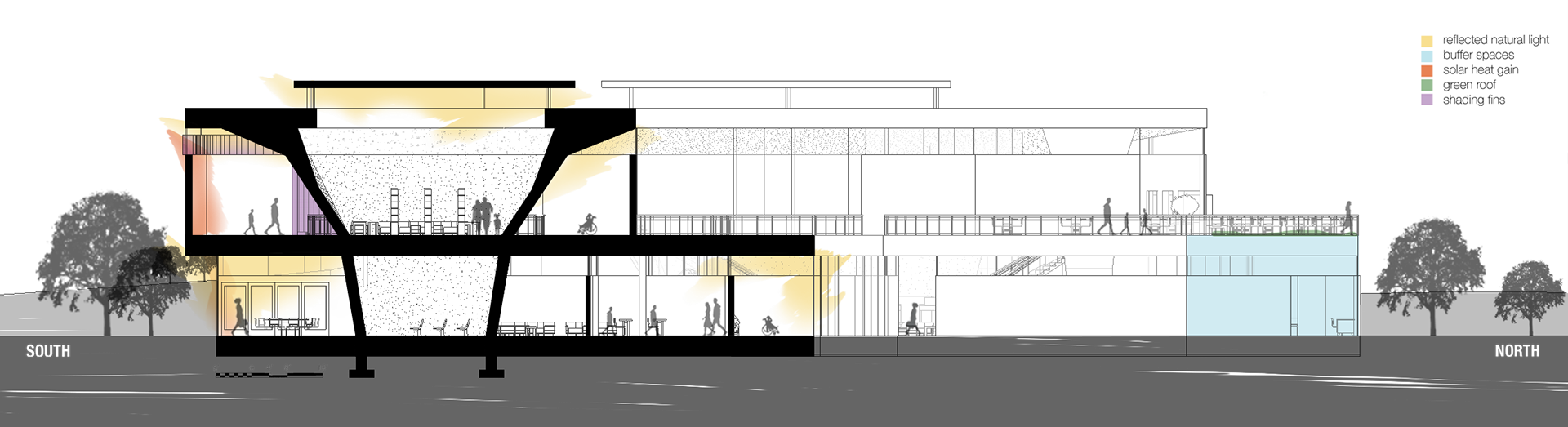 Transverse Section Looking East