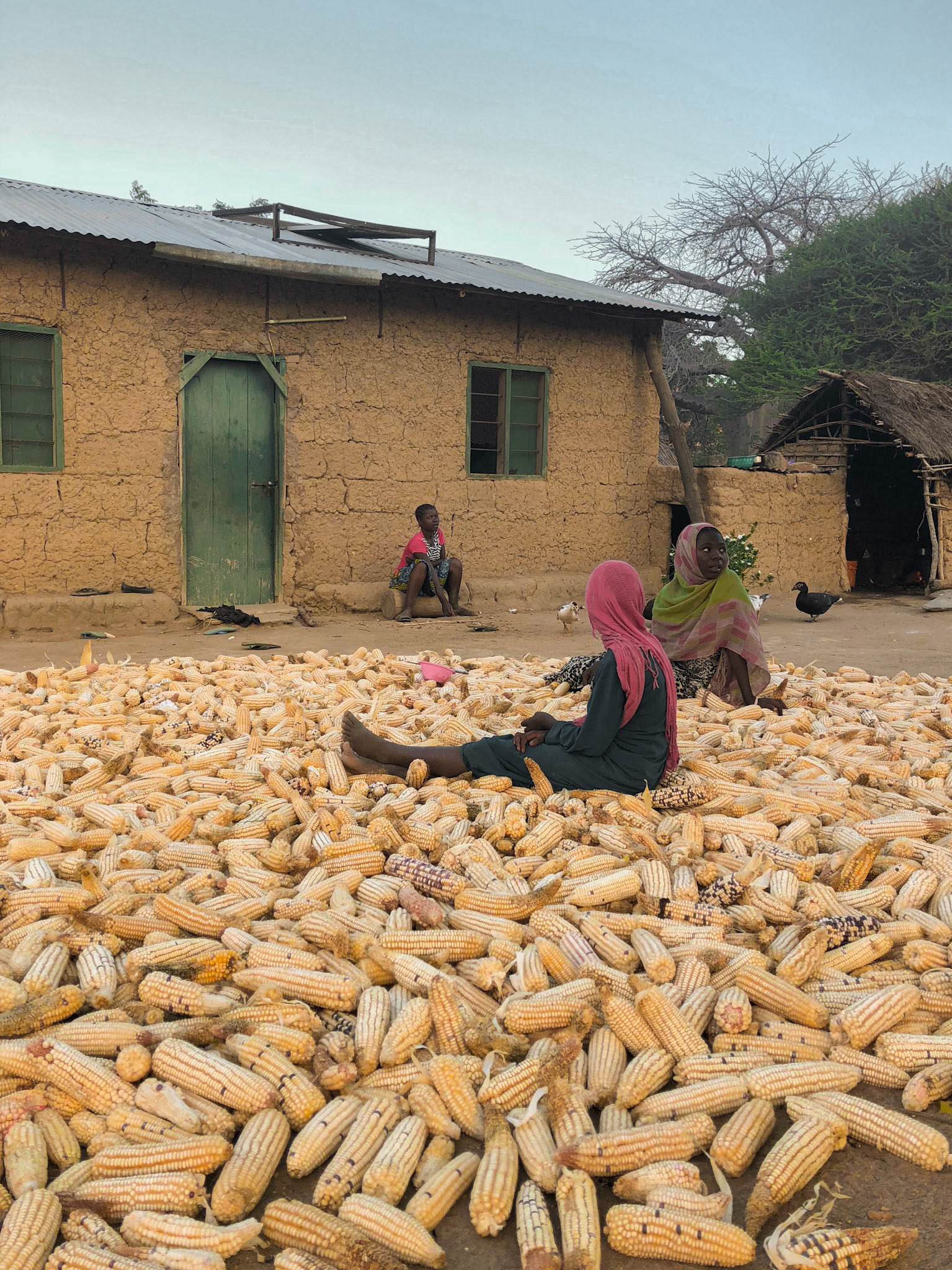 During one of my exploration walks, I captured a picturesque moment of these local girls just relaxing on a pile of dried corn cobs. The pace of life here was just so slow, so calm, so peaceful…