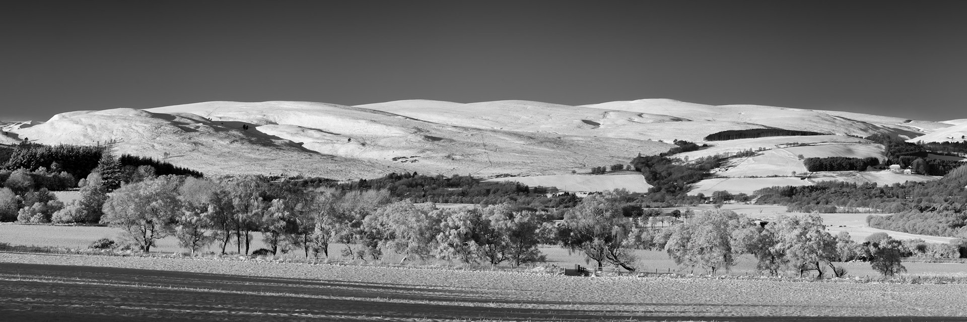 A snowy scene near Tormore, Highland, Scotland, with trees covered in hoar frost