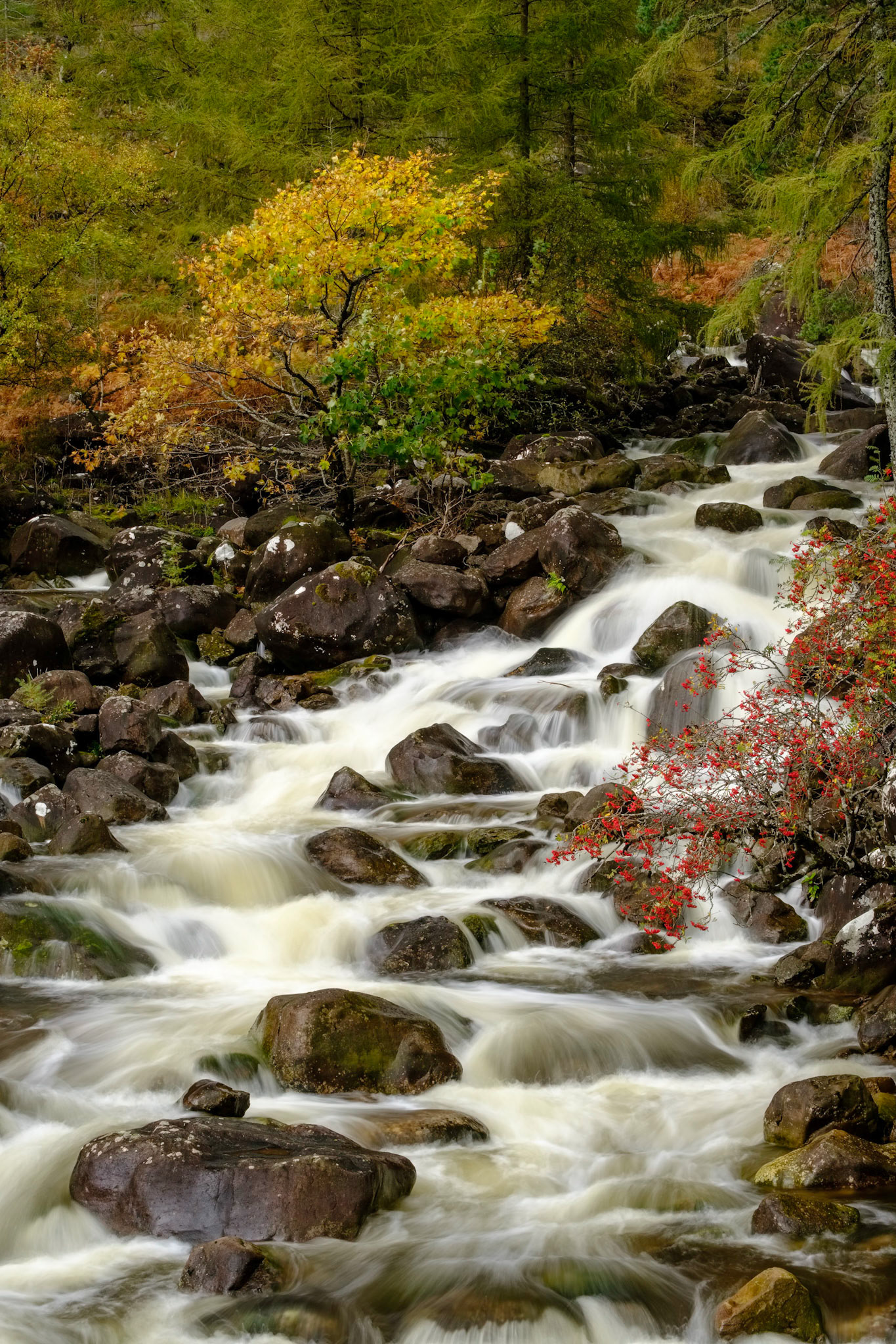 Rapids on a stream near Annat in Wester Ross, Scotland, in autumn