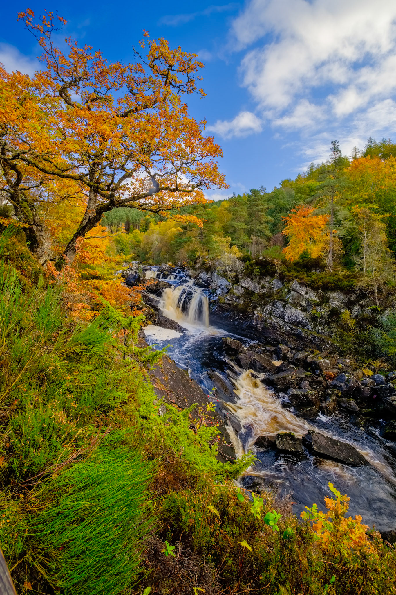 Rogie Falls are a series of waterfalls on the Black Water, a river in Ross-shire in the Highlands of Scotland