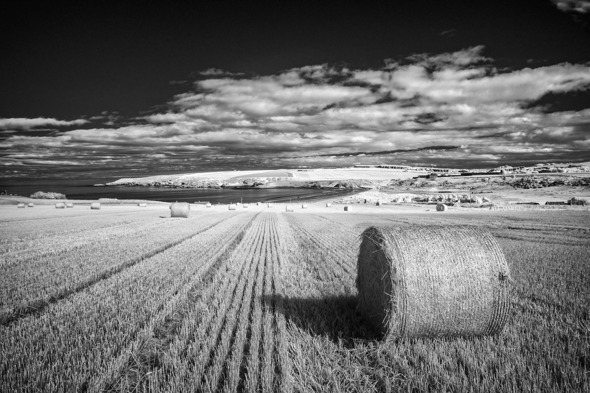 Bales of barley after harvesting, in a field above Sandend (Sanine), Aberdeenshire
