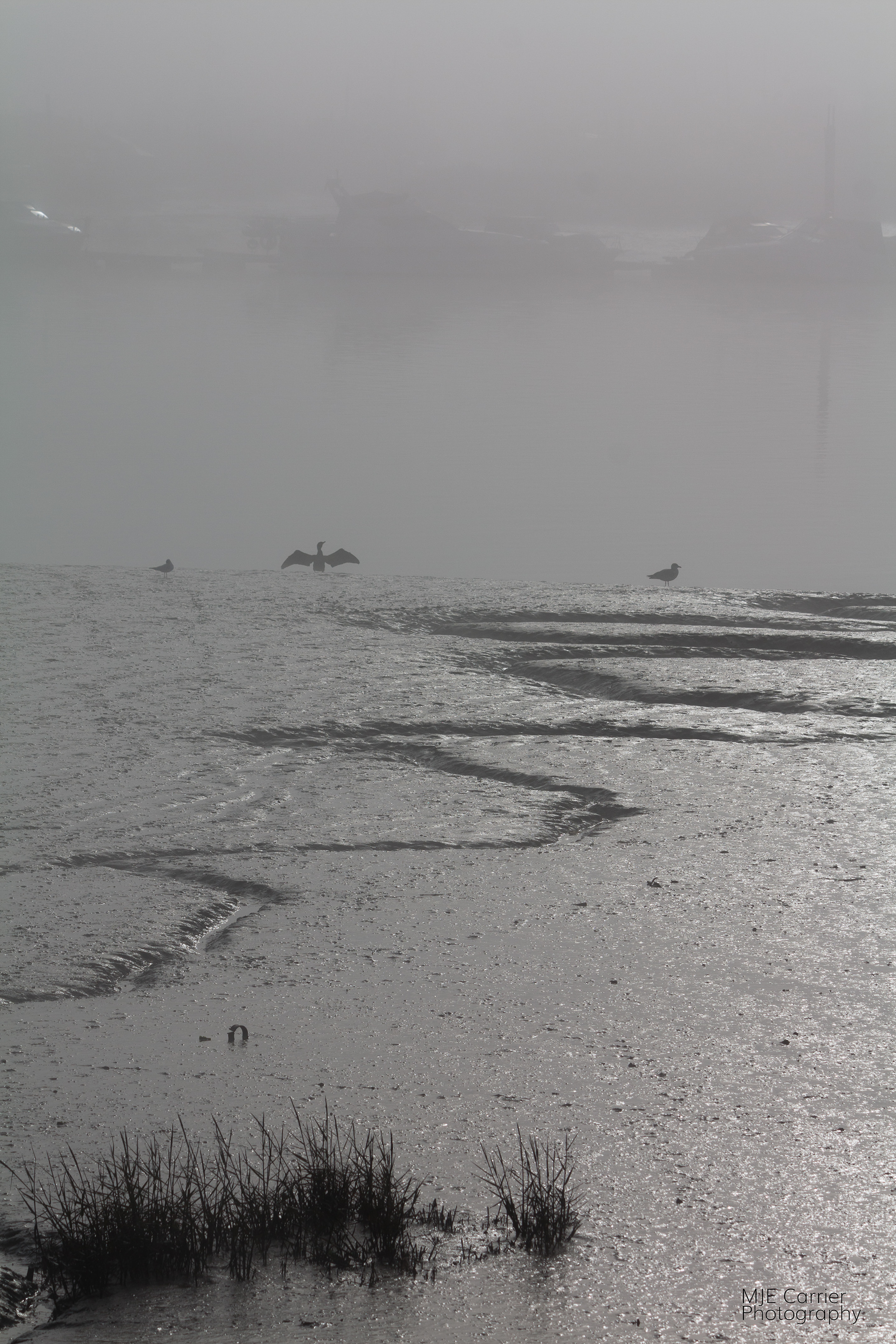 Misty Medway II