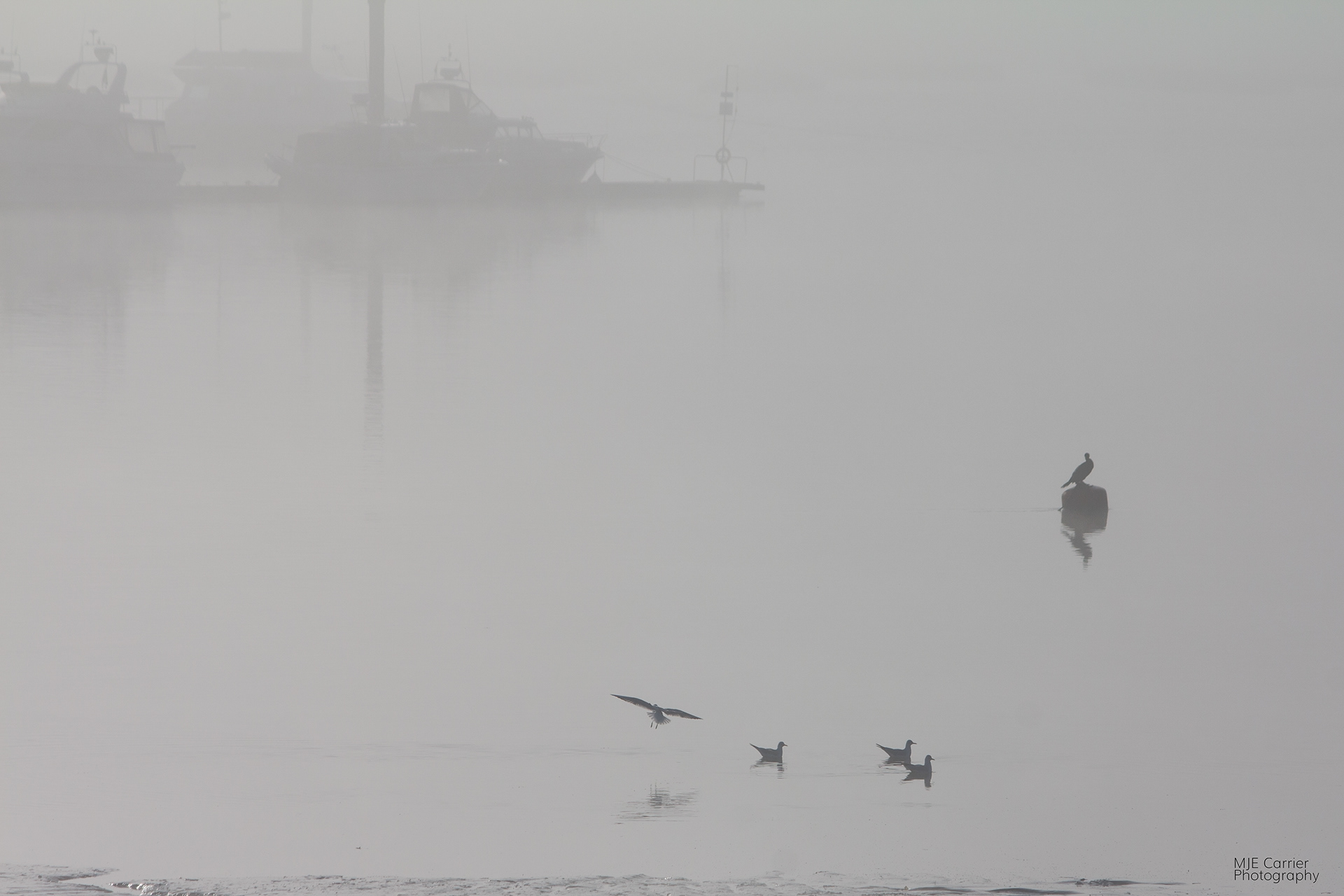 Misty Medway I