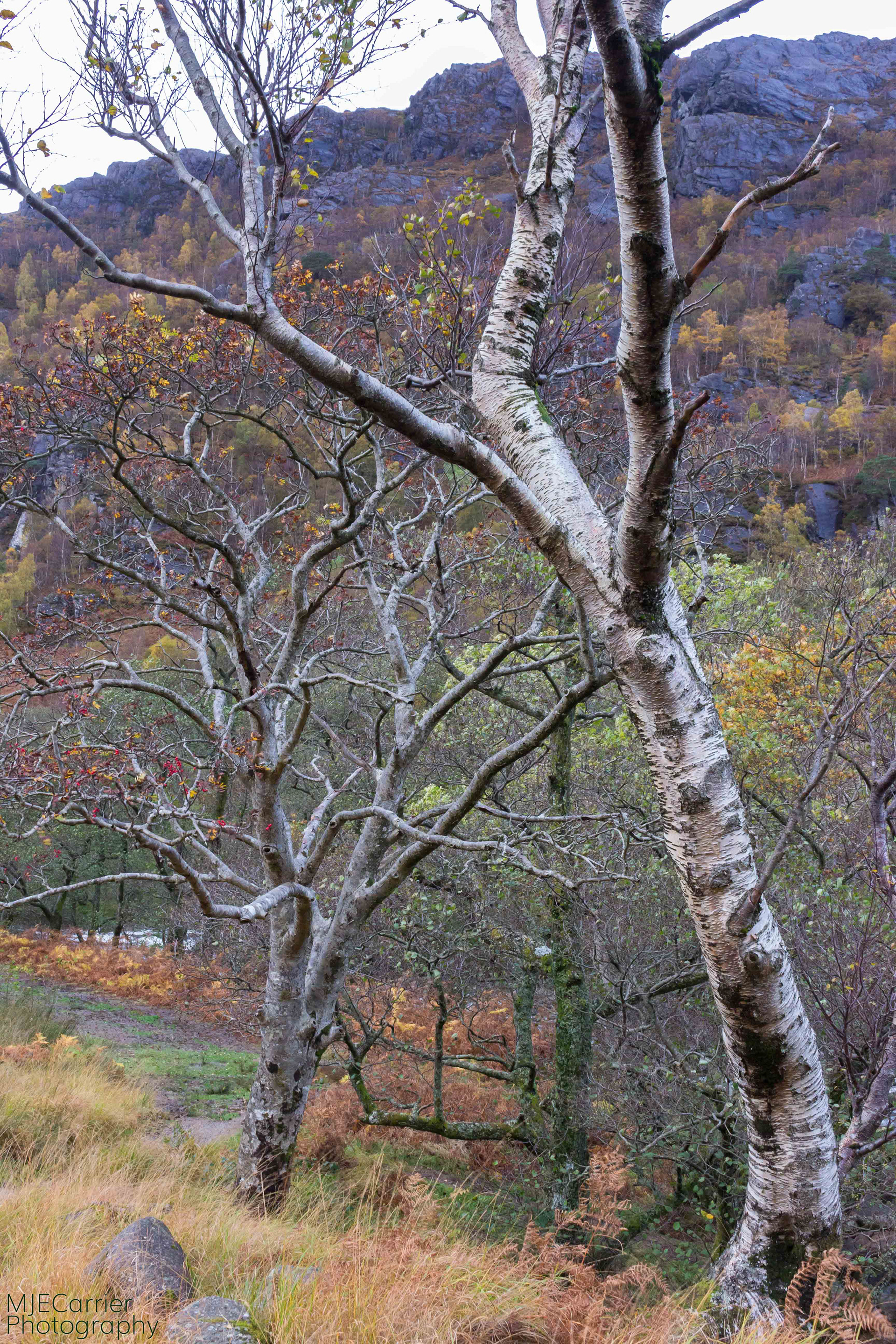 Paddy's Bridge walk in Glen Nevis.