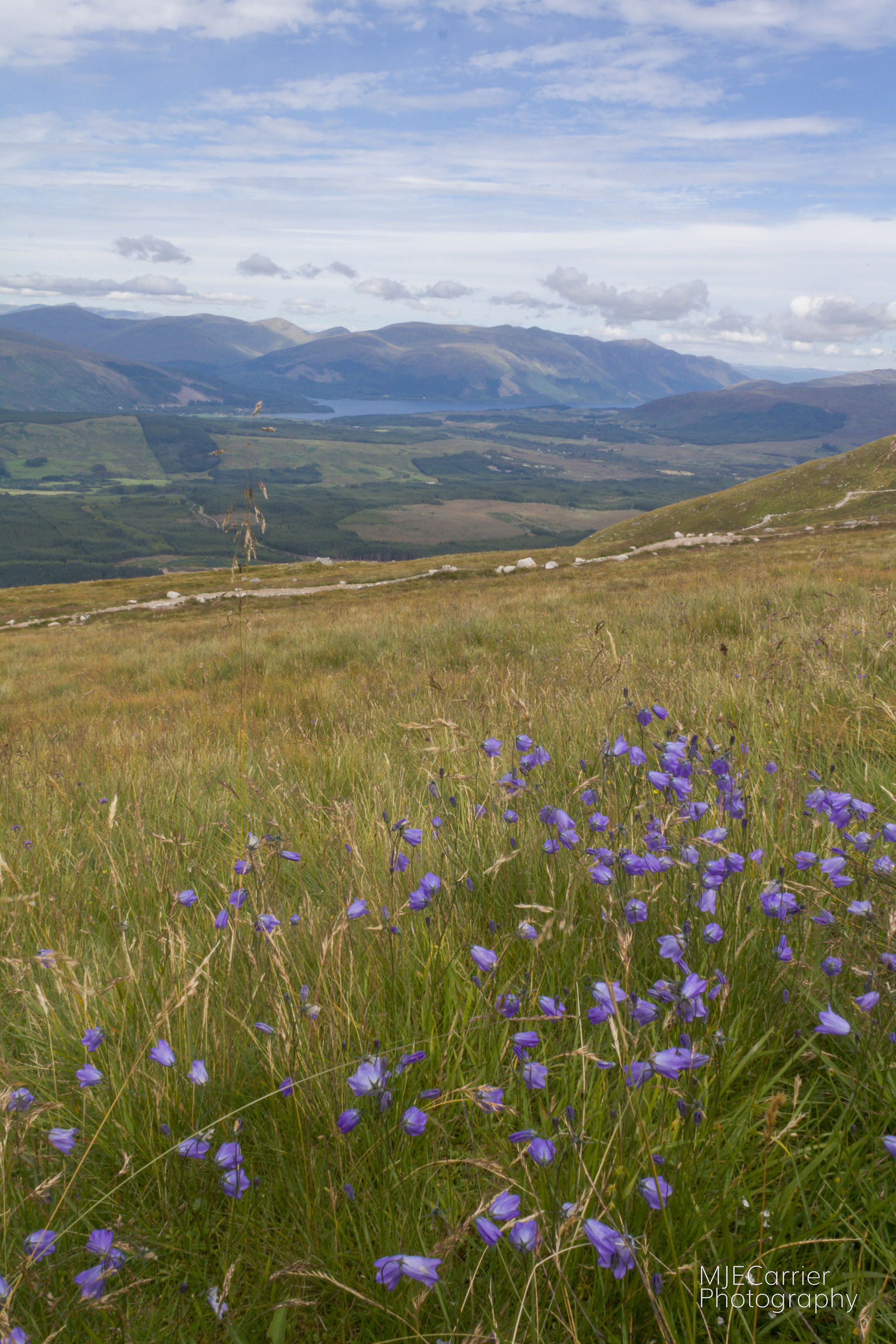 Looking towards Loch Lochy from Aonach Mor.