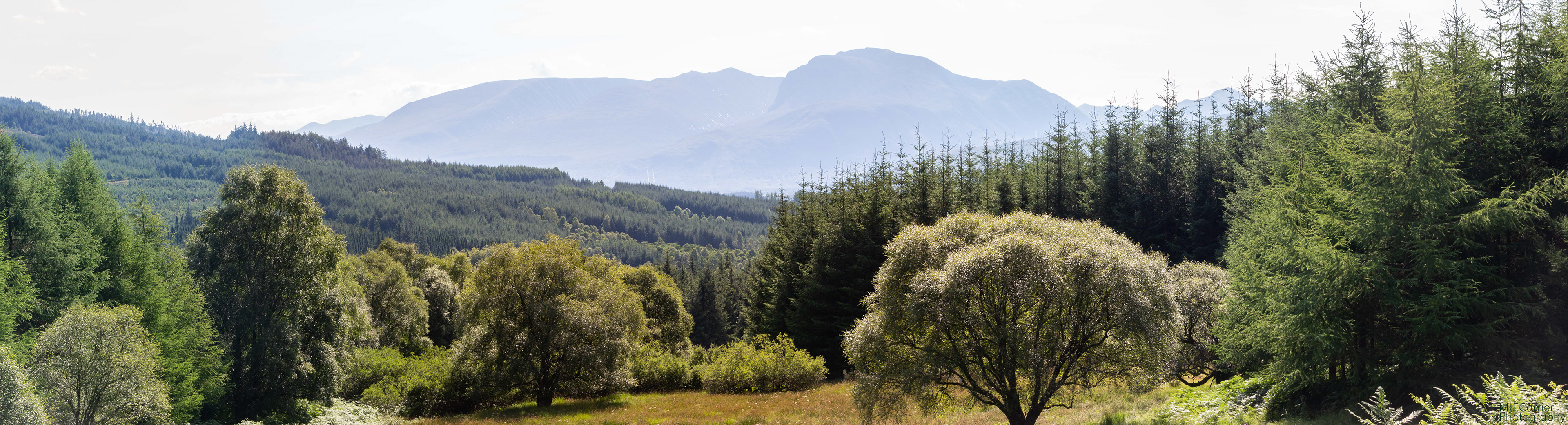 Ben Nevis from Fassfern Forest