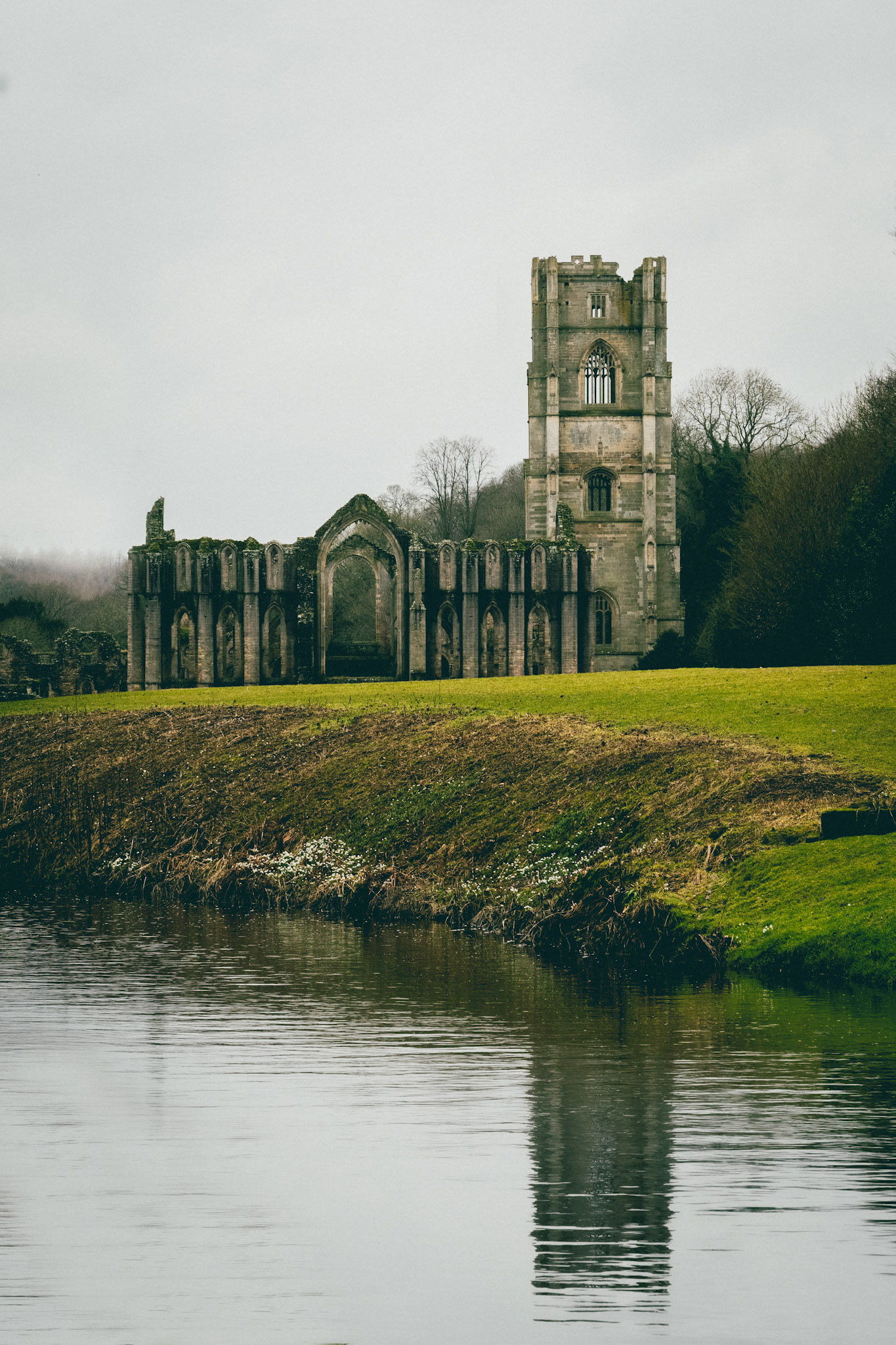 Reflection - Fountains Abbey