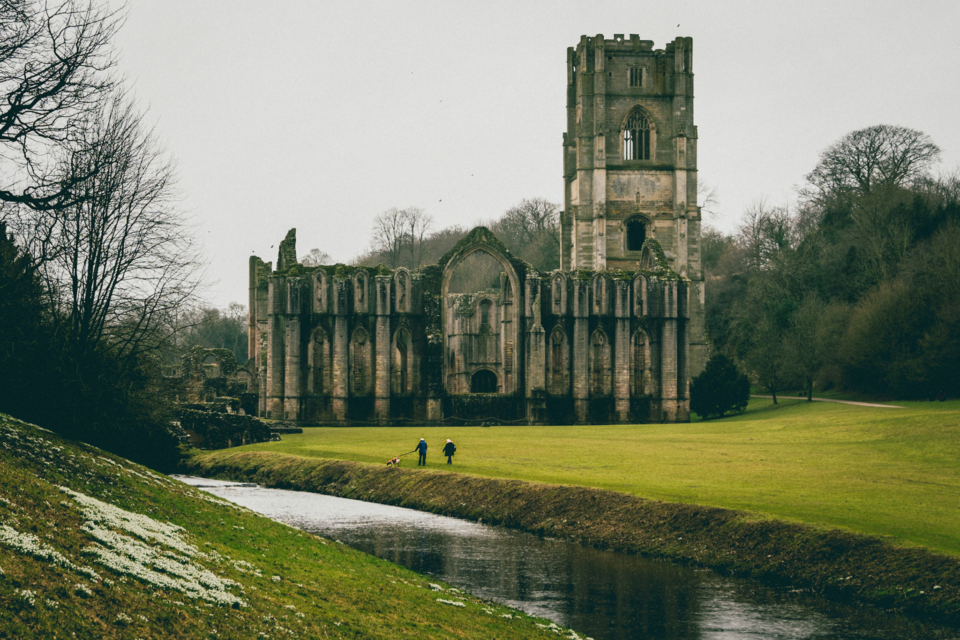 Snow Drops View - Fountains Abbey