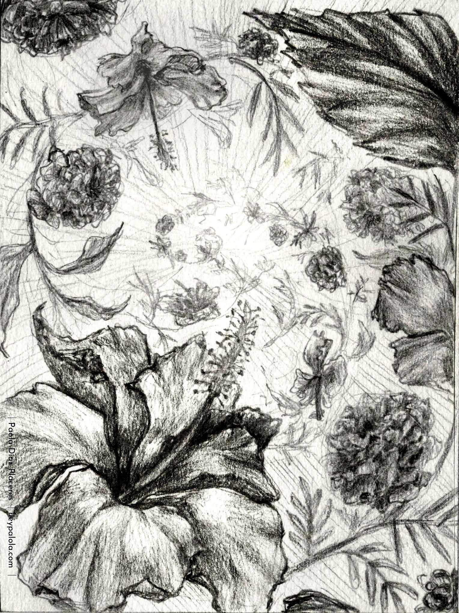 September