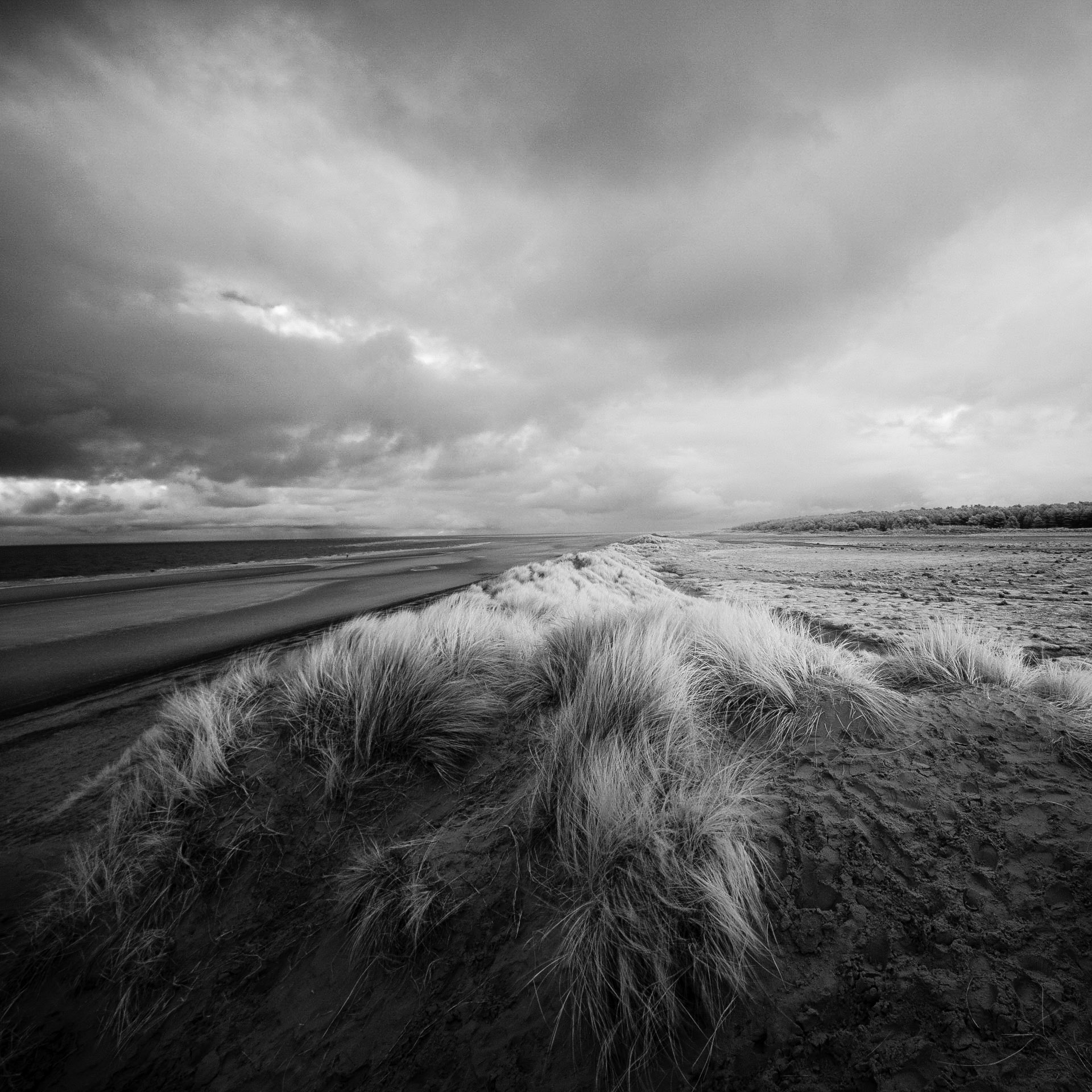 Holkham Dunes IR