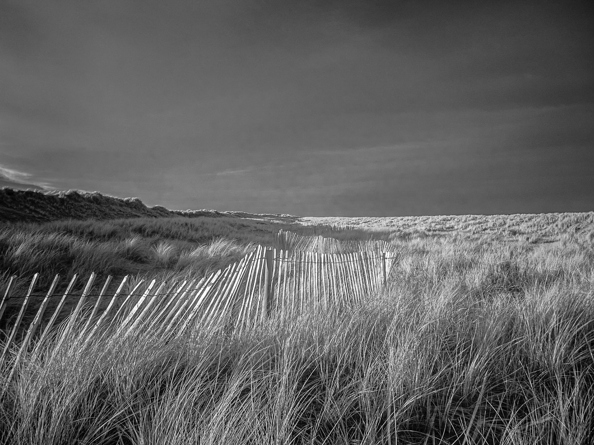 Winterton Dunes