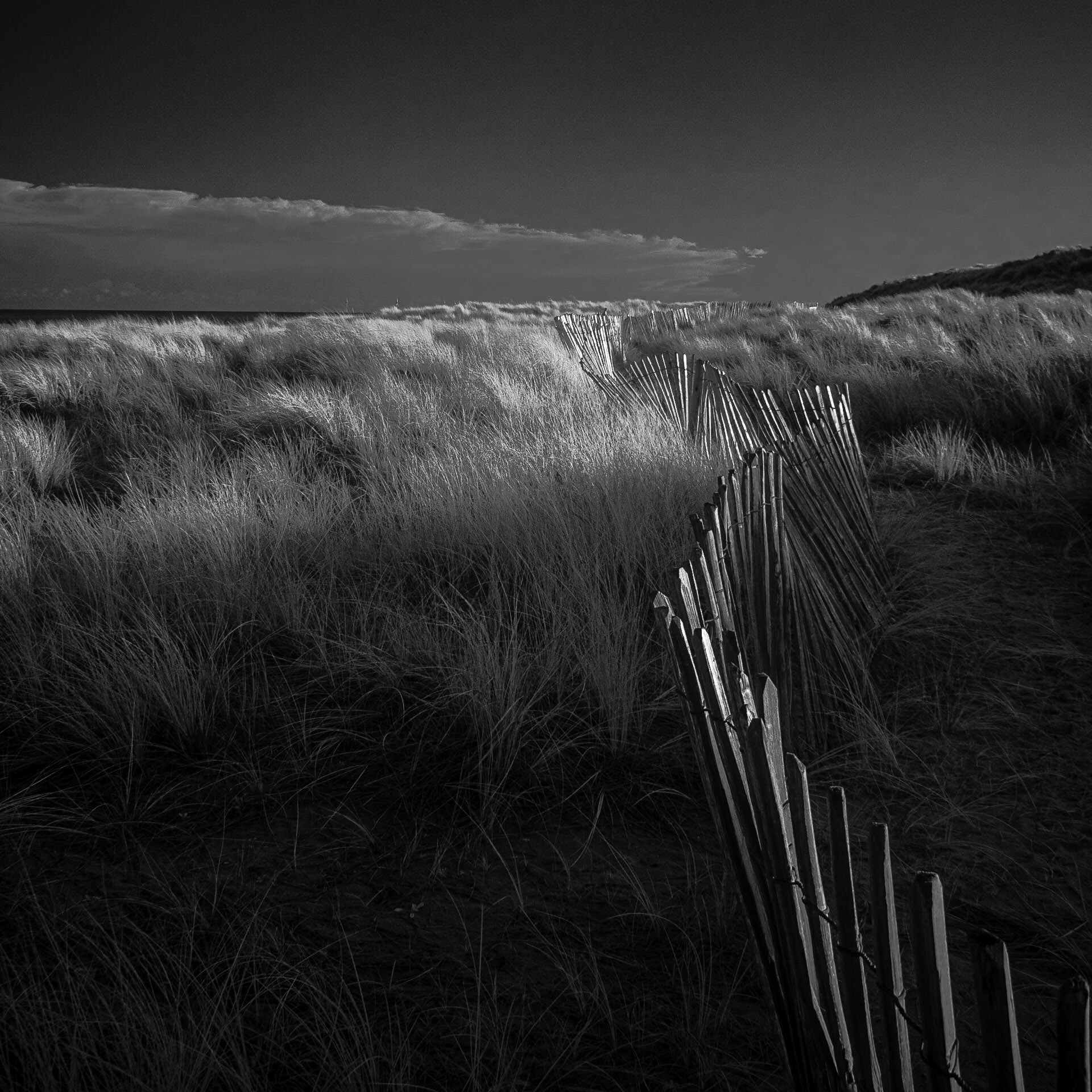 Winterton Dunes