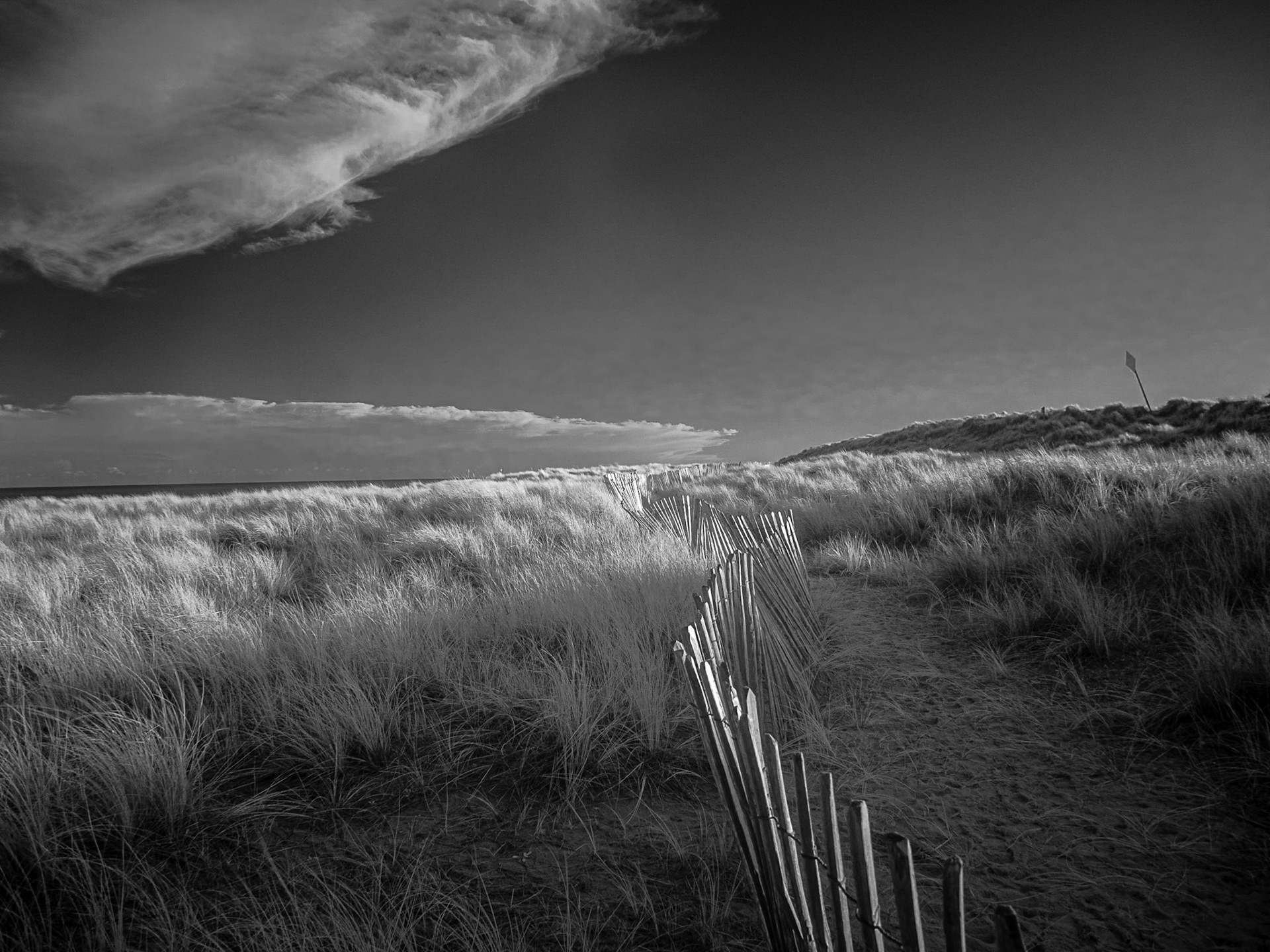 Winterton Dunes