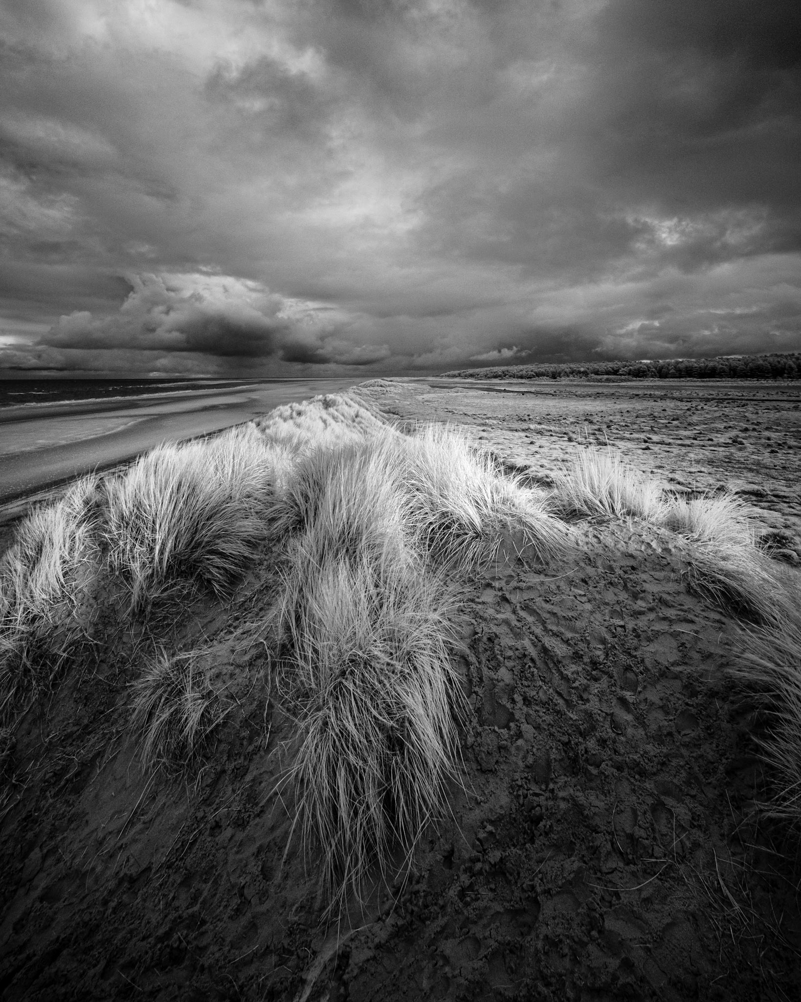 Holkham Beach IR