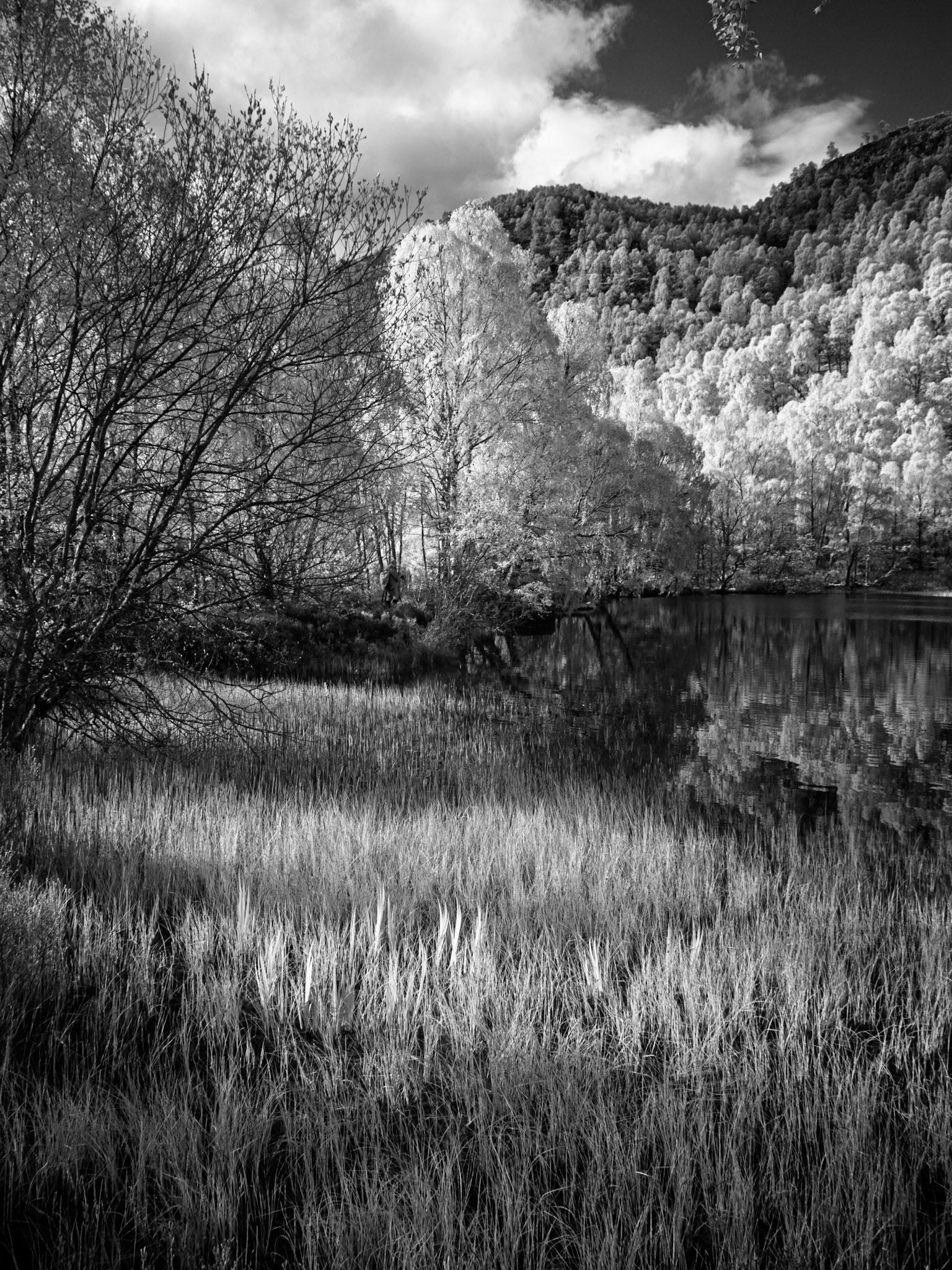Infra red