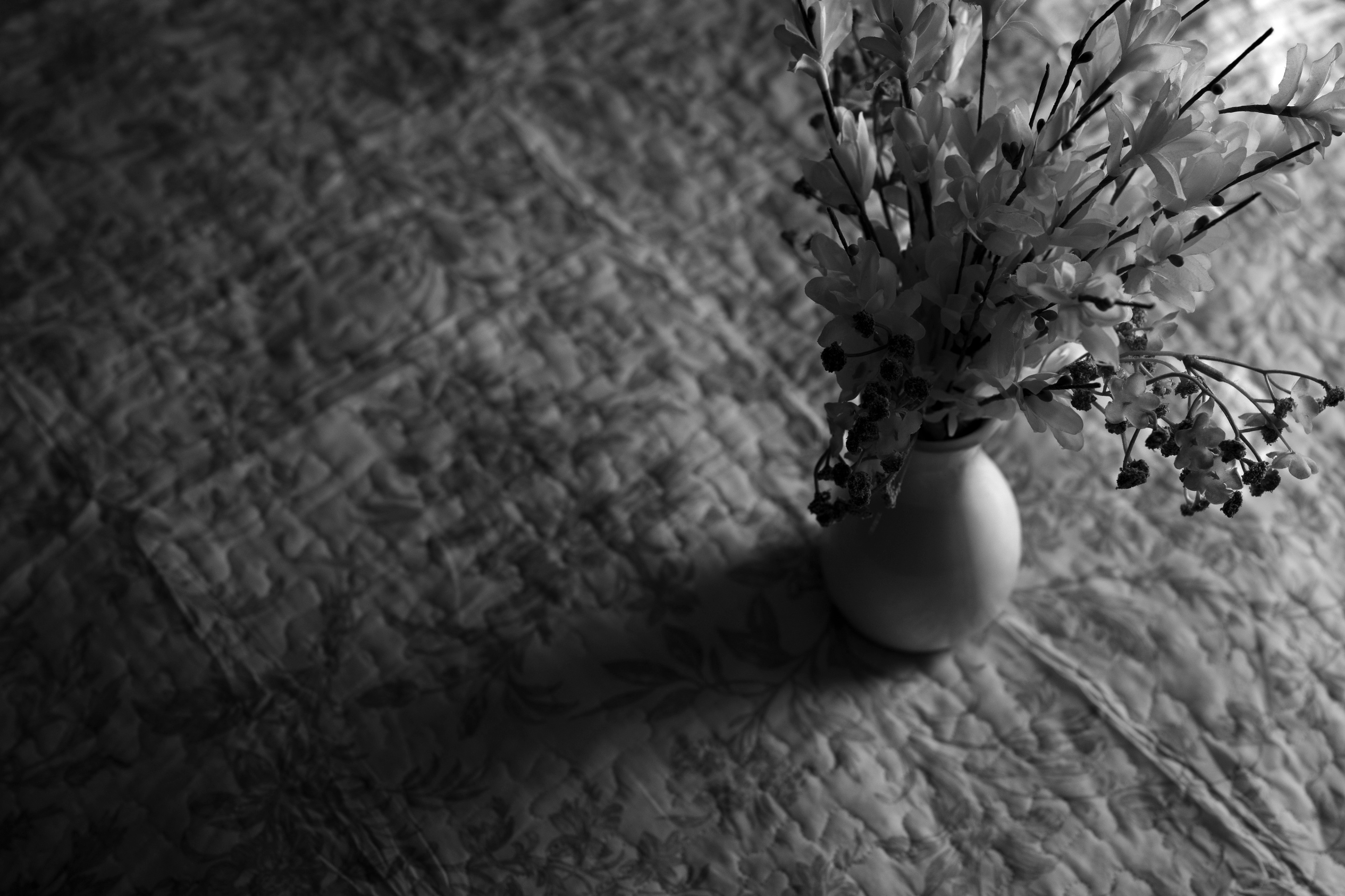 Seeing the Light Series 2026