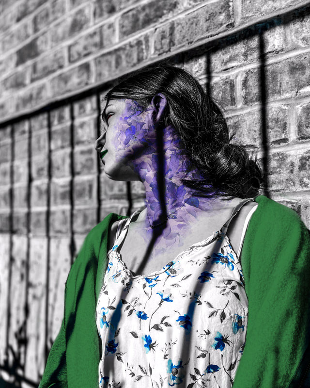 Adobe Photoshop - 2022