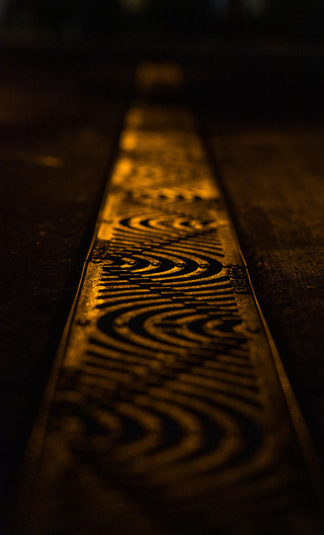 Color and Light Series - 2024