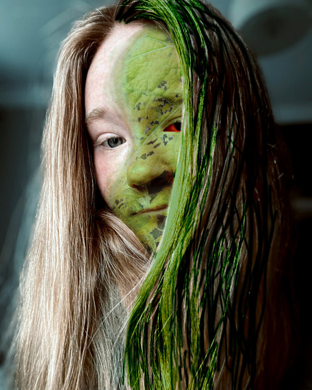 Adobe Photoshop - 2022